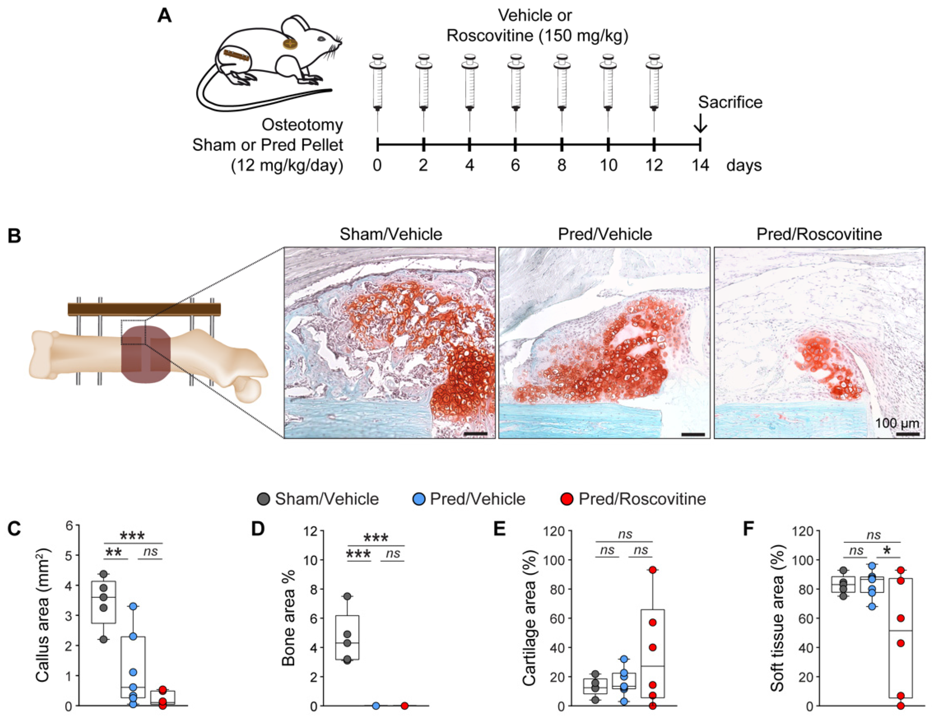 Biomedicines 10 00404 g004