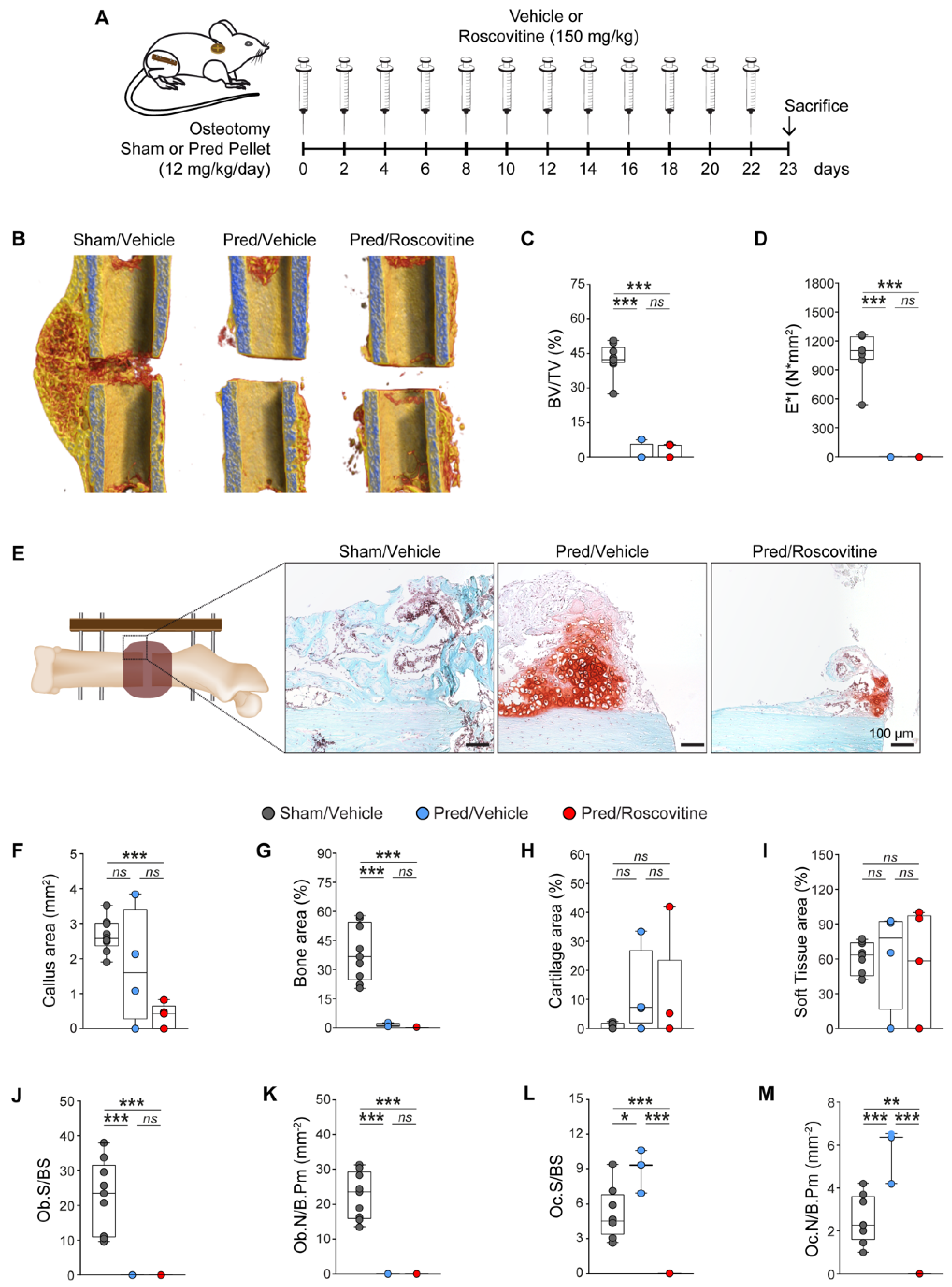 Biomedicines 10 00404 g005