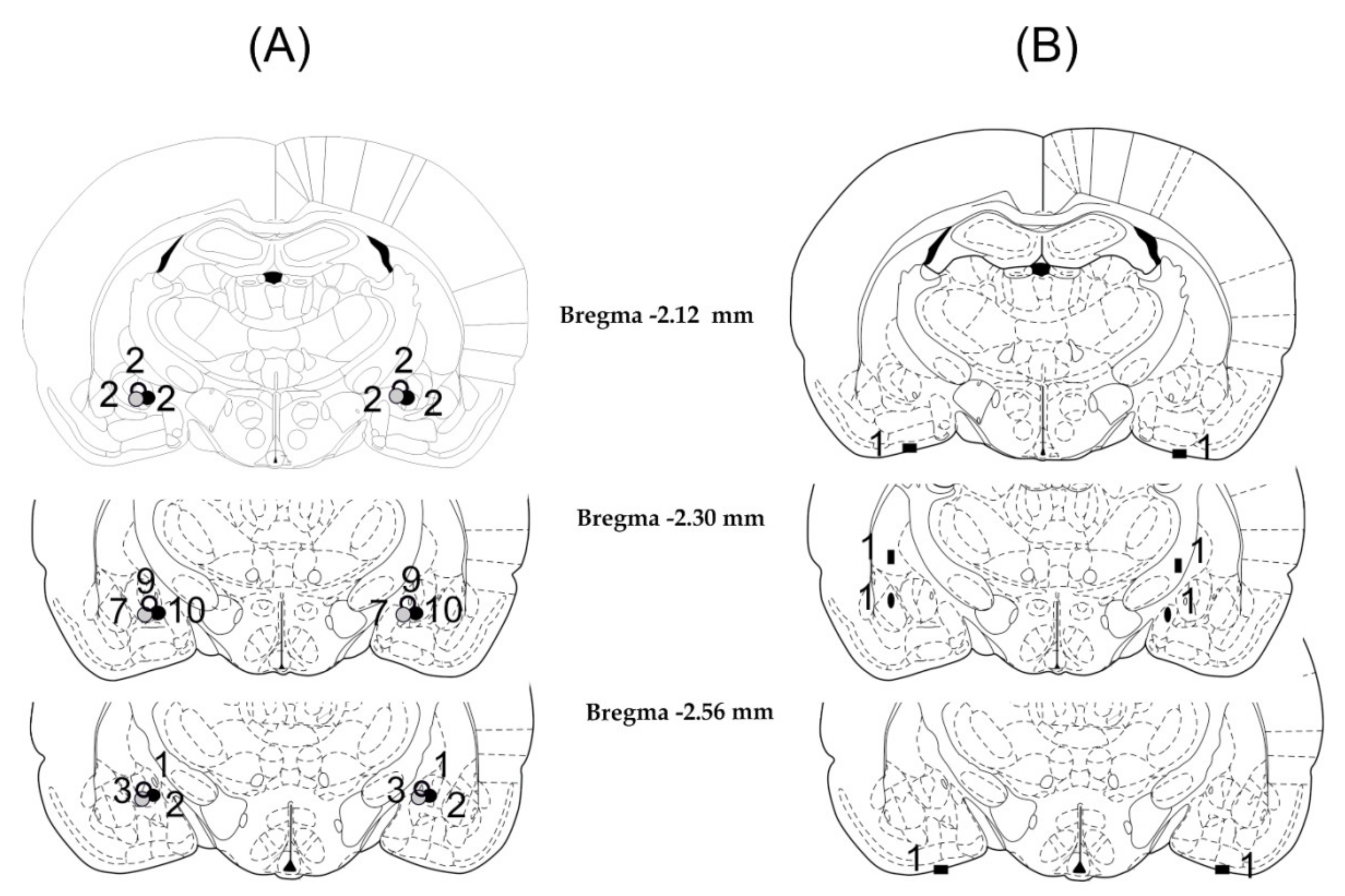 Biomedicines 10 00405 g001