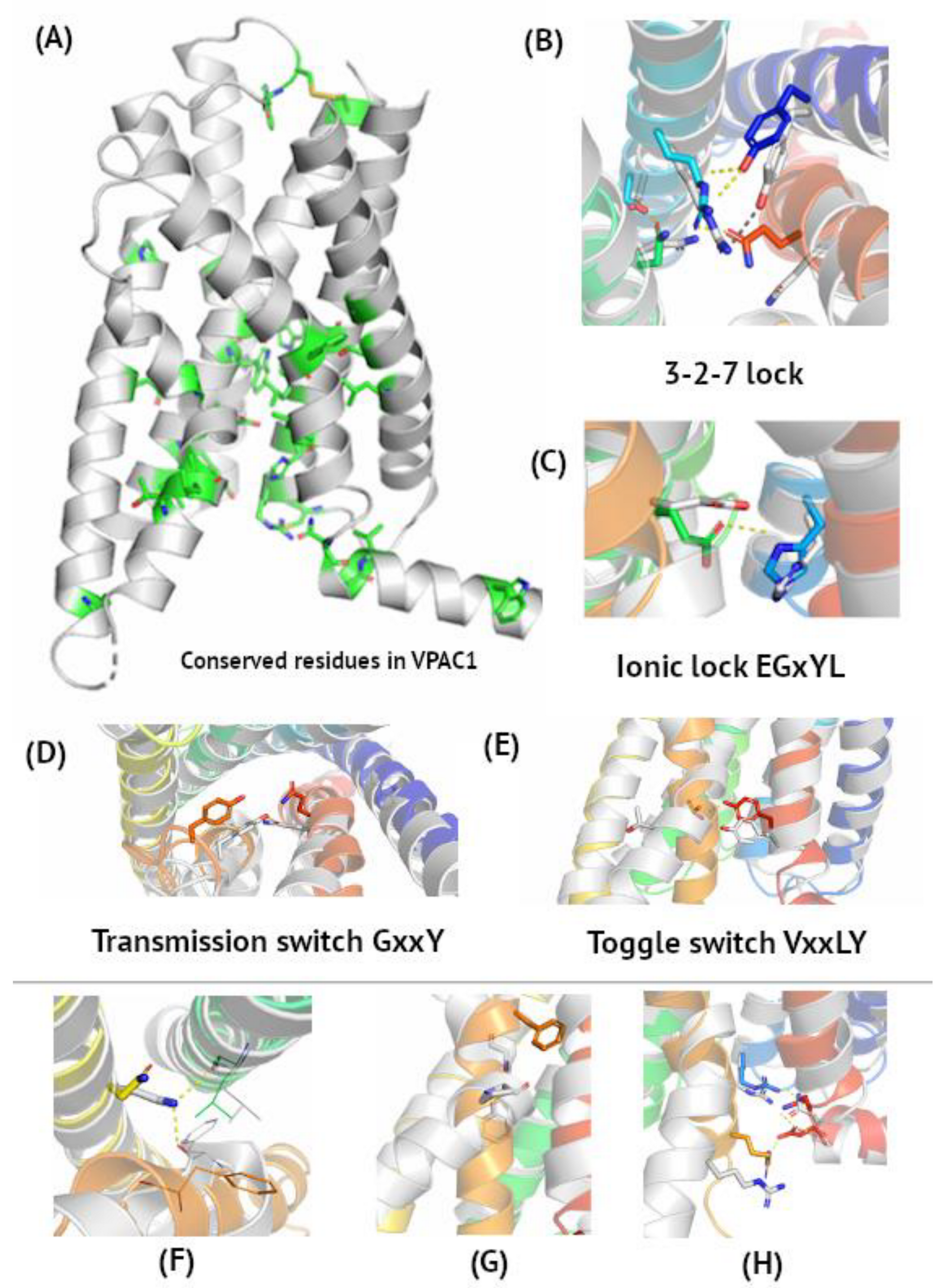Biomedicines 10 00406 g001
