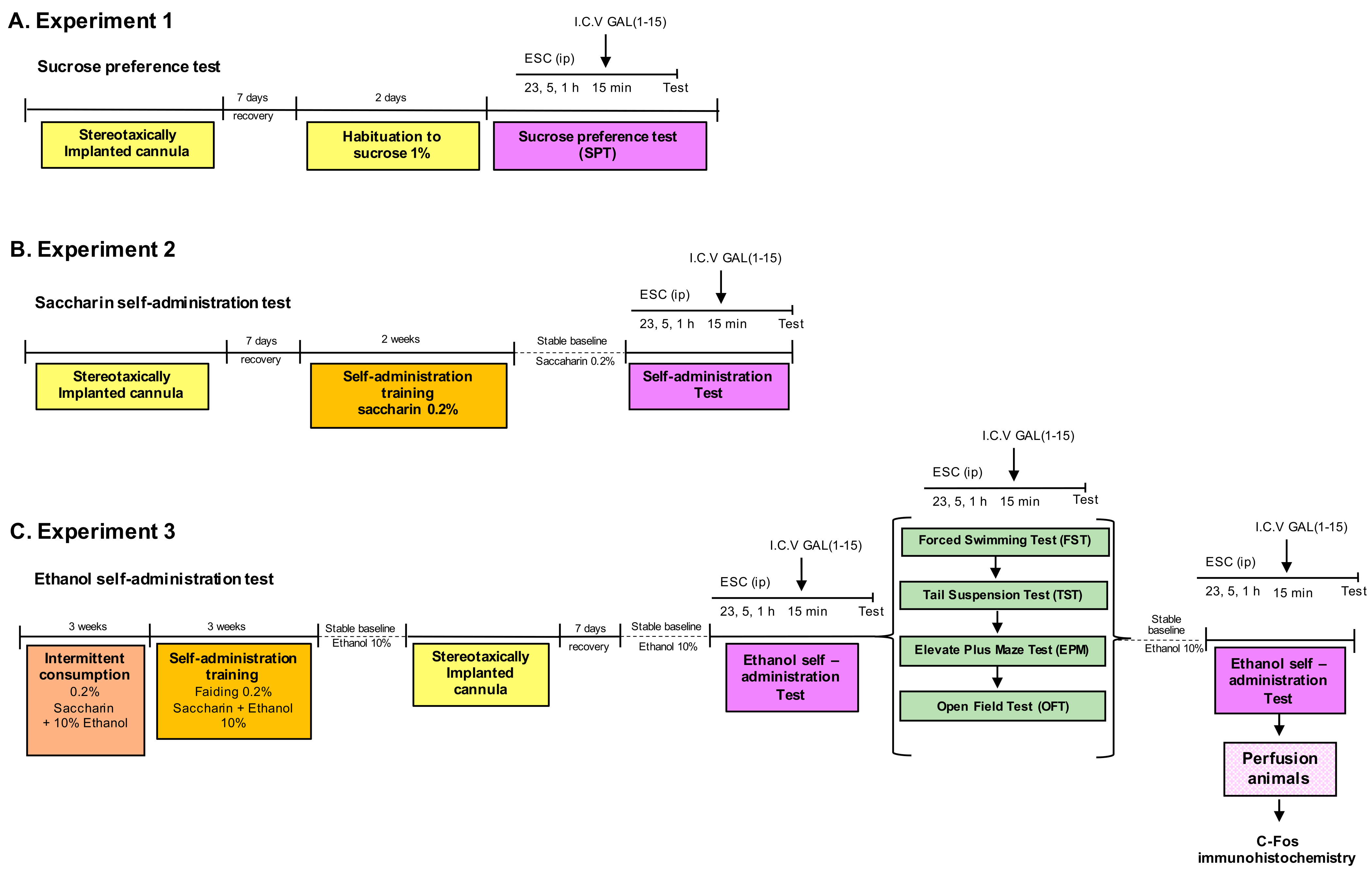 Biomedicines 10 00412 g001