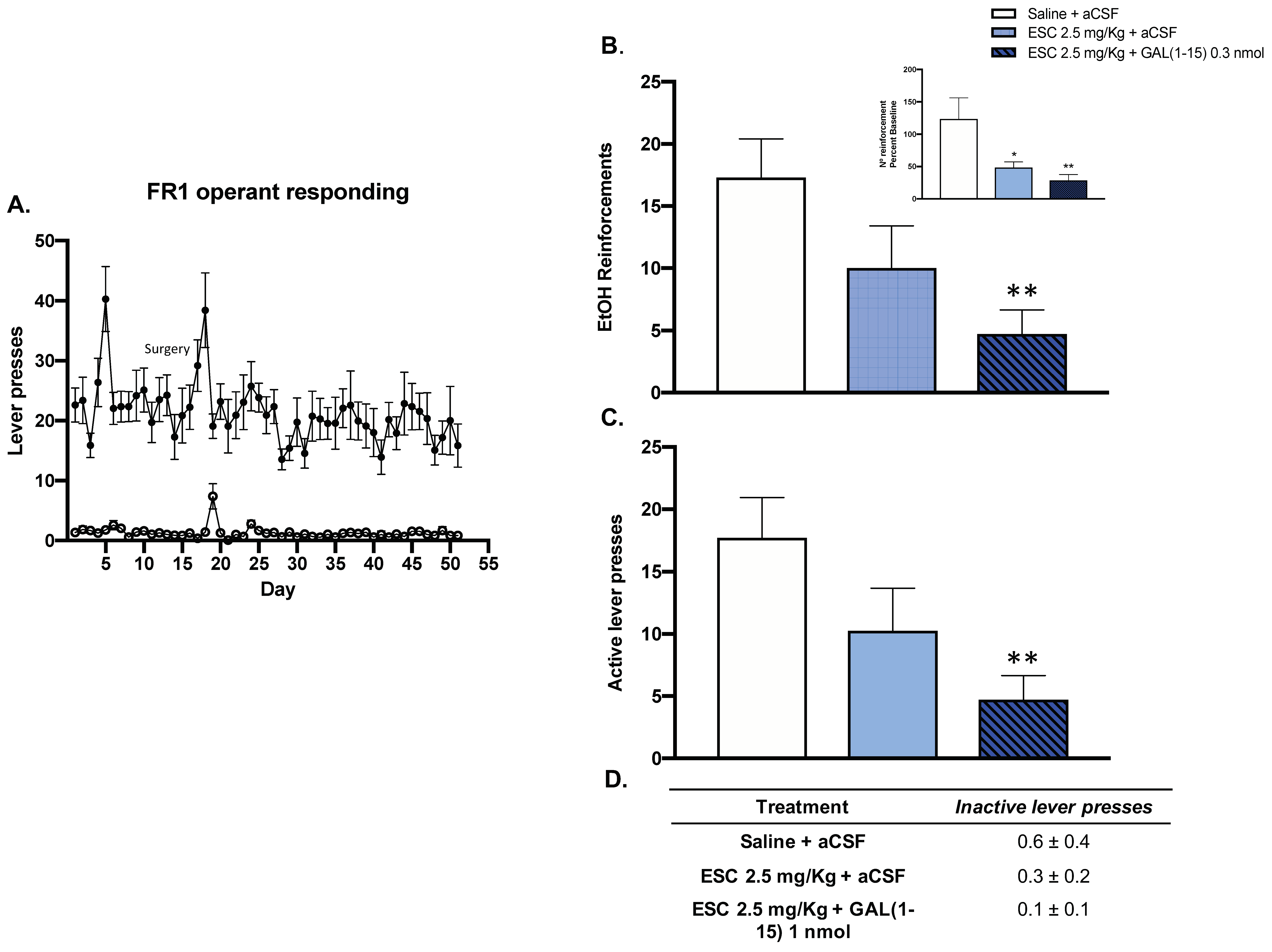Biomedicines 10 00412 g003
