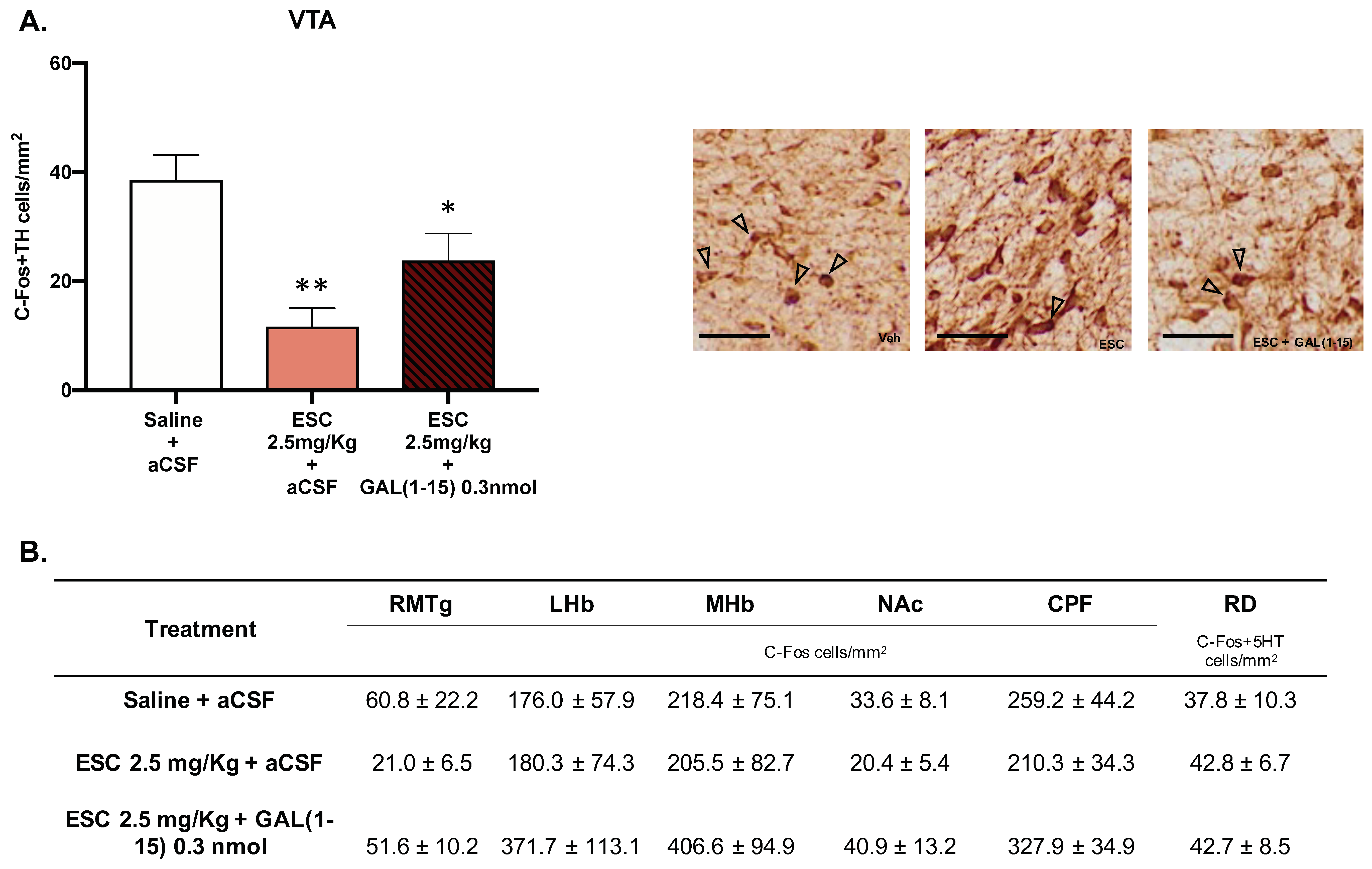 Biomedicines 10 00412 g005