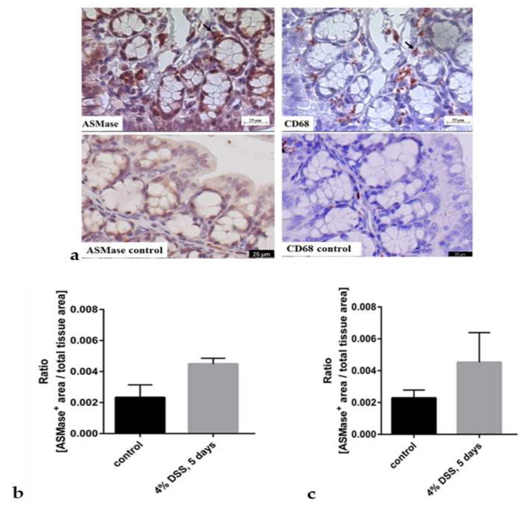 Biomedicines 10 00413 g003a