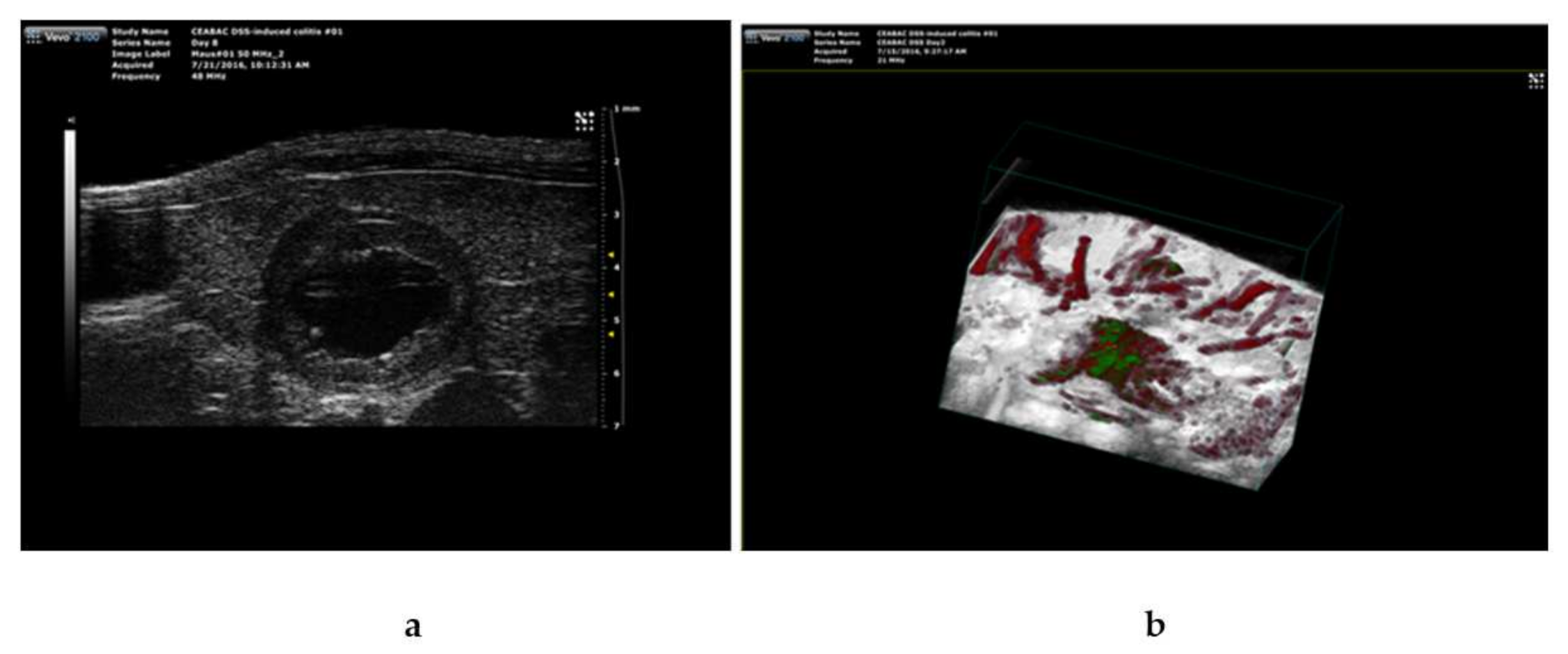 Biomedicines 10 00413 g005