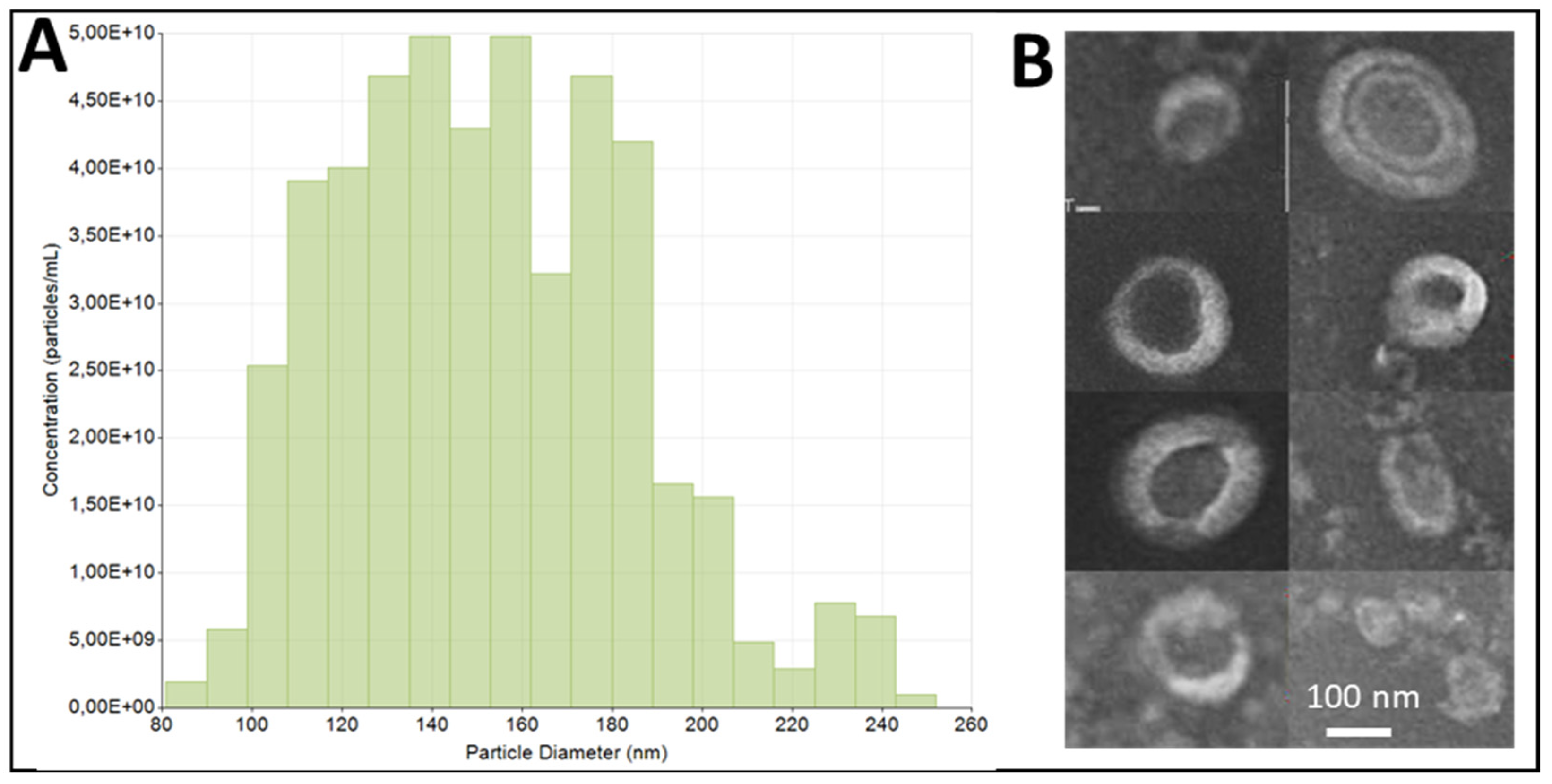 Biomedicines 10 00415 g001