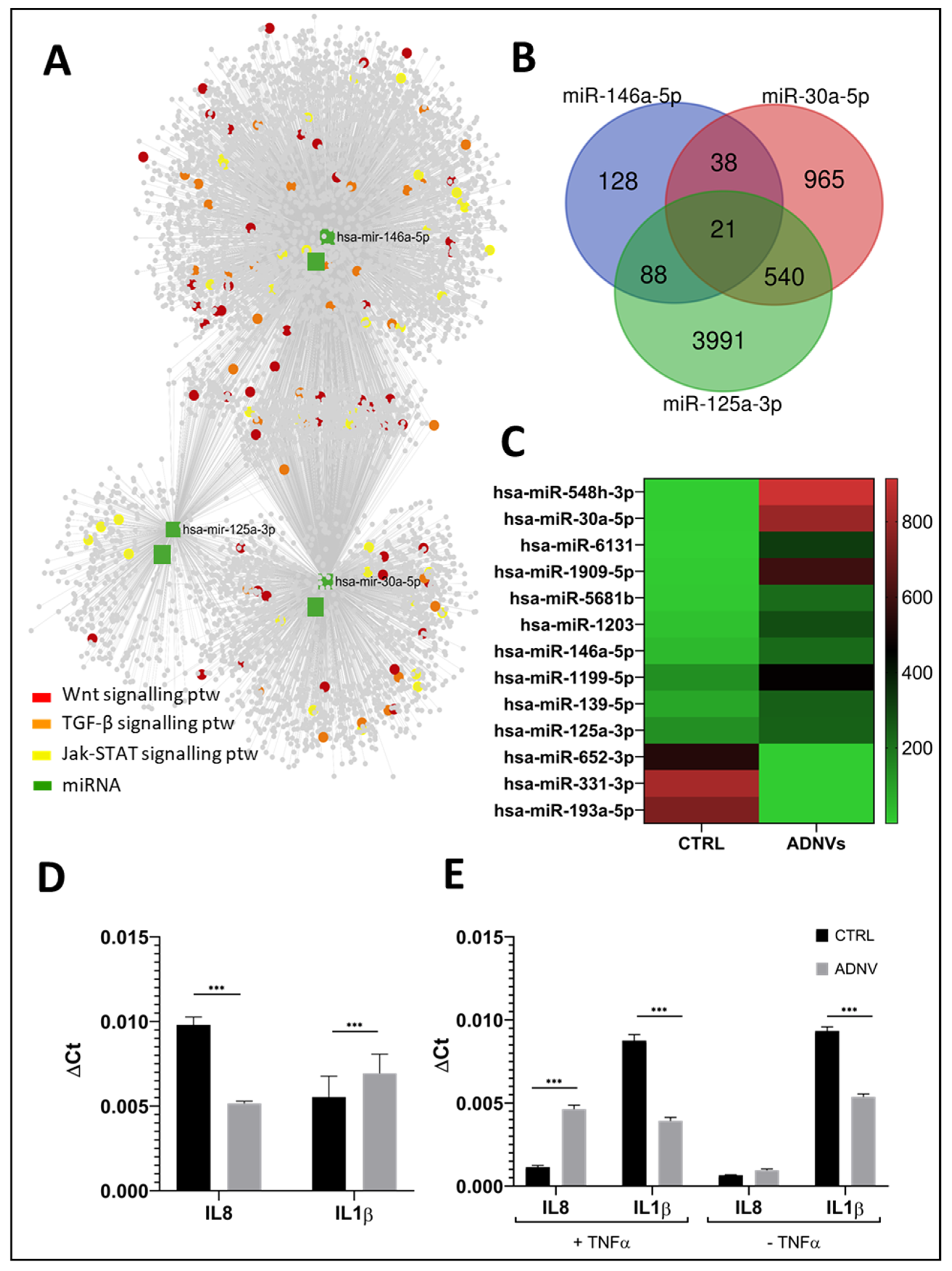 Biomedicines 10 00415 g005