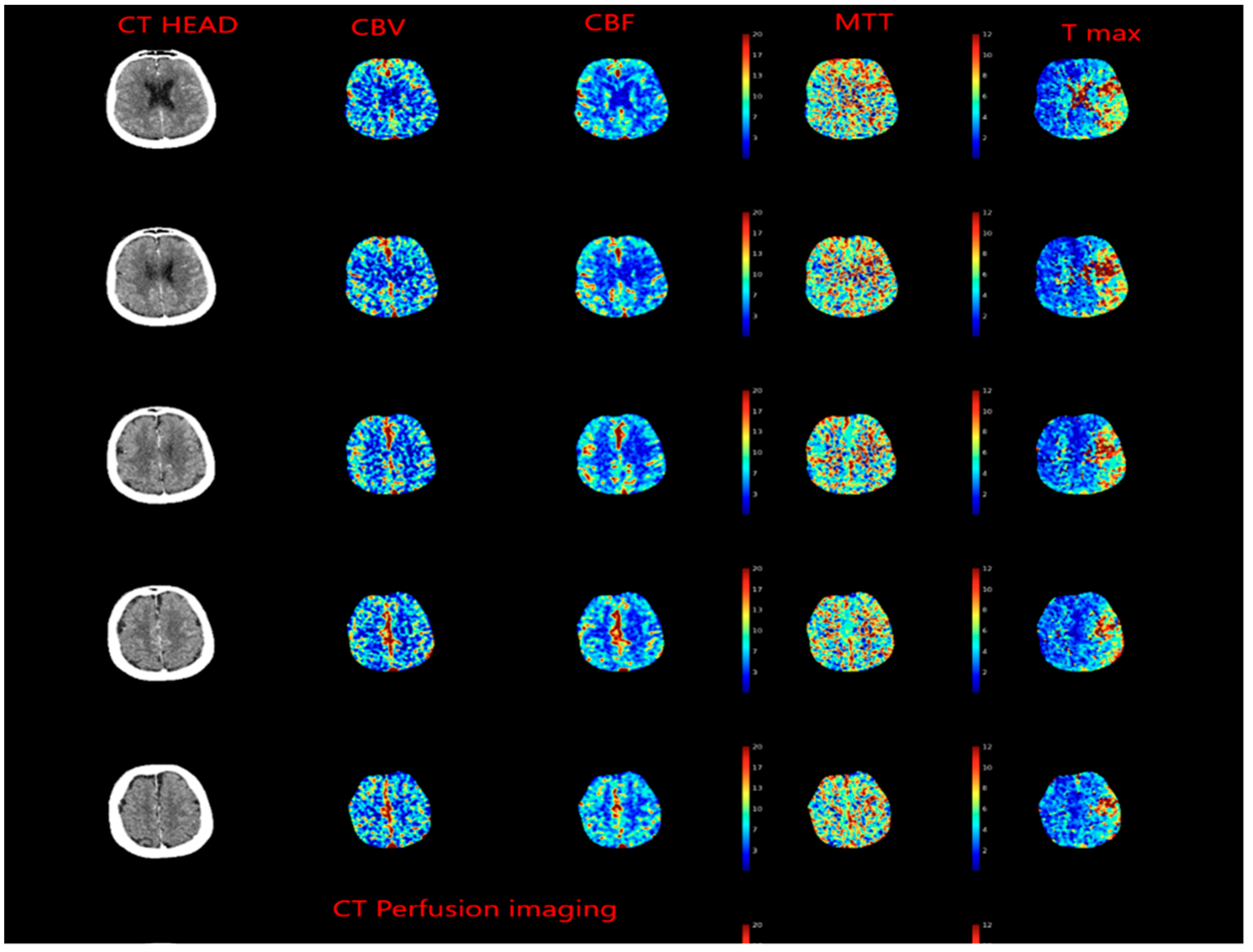 Biomedicines 10 00418 g004