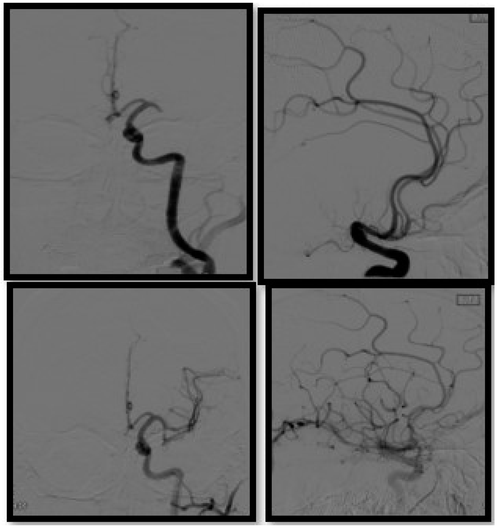 Biomedicines 10 00418 g005