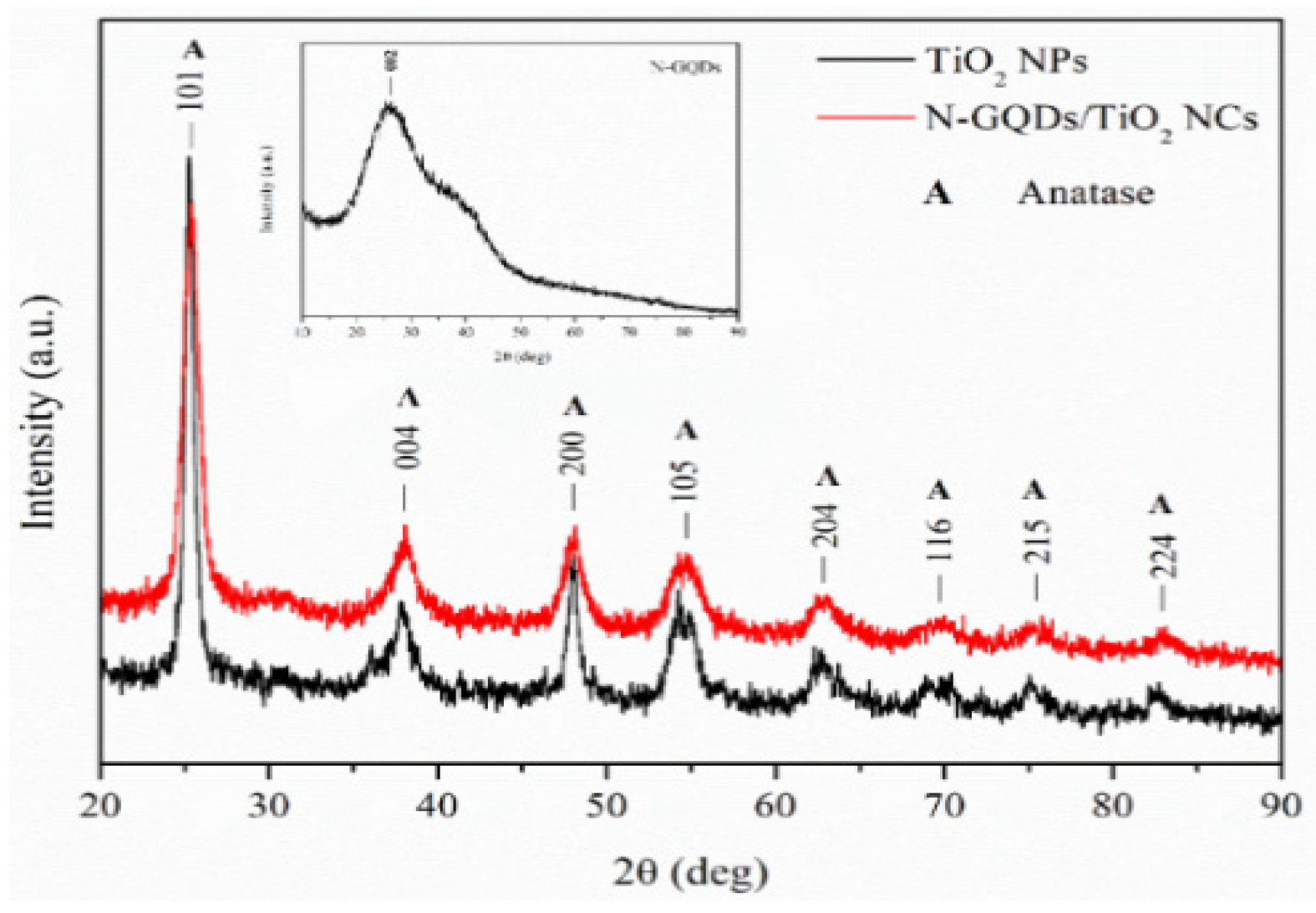 Biomedicines 10 00421 g001