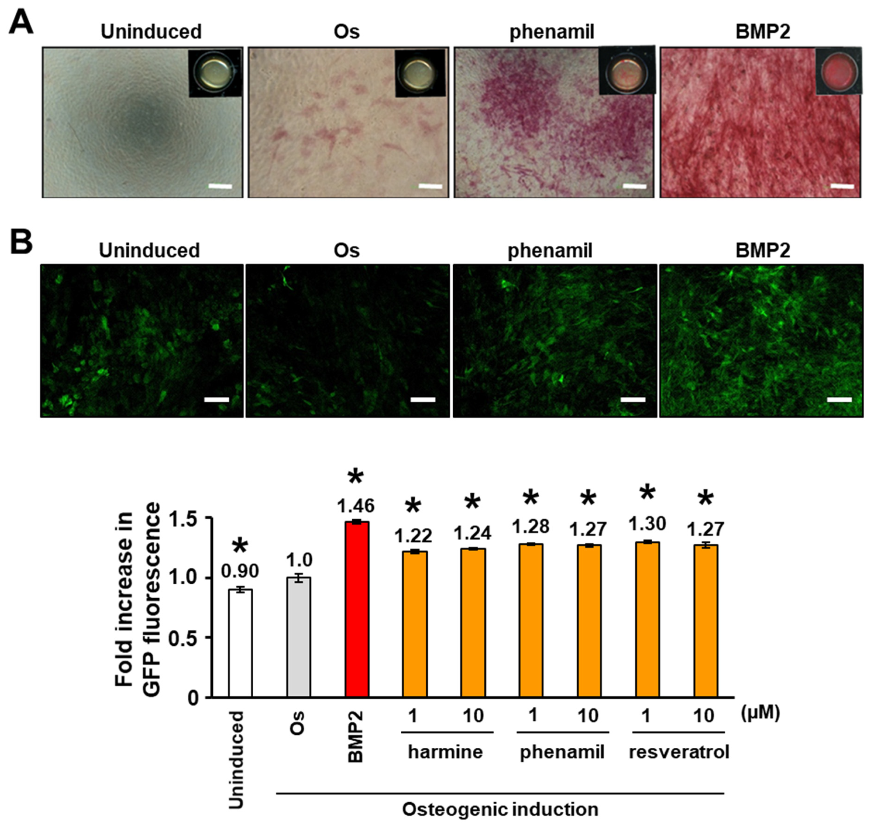 Biomedicines 10 00426 g001 Biomedicines 10 00426 g001