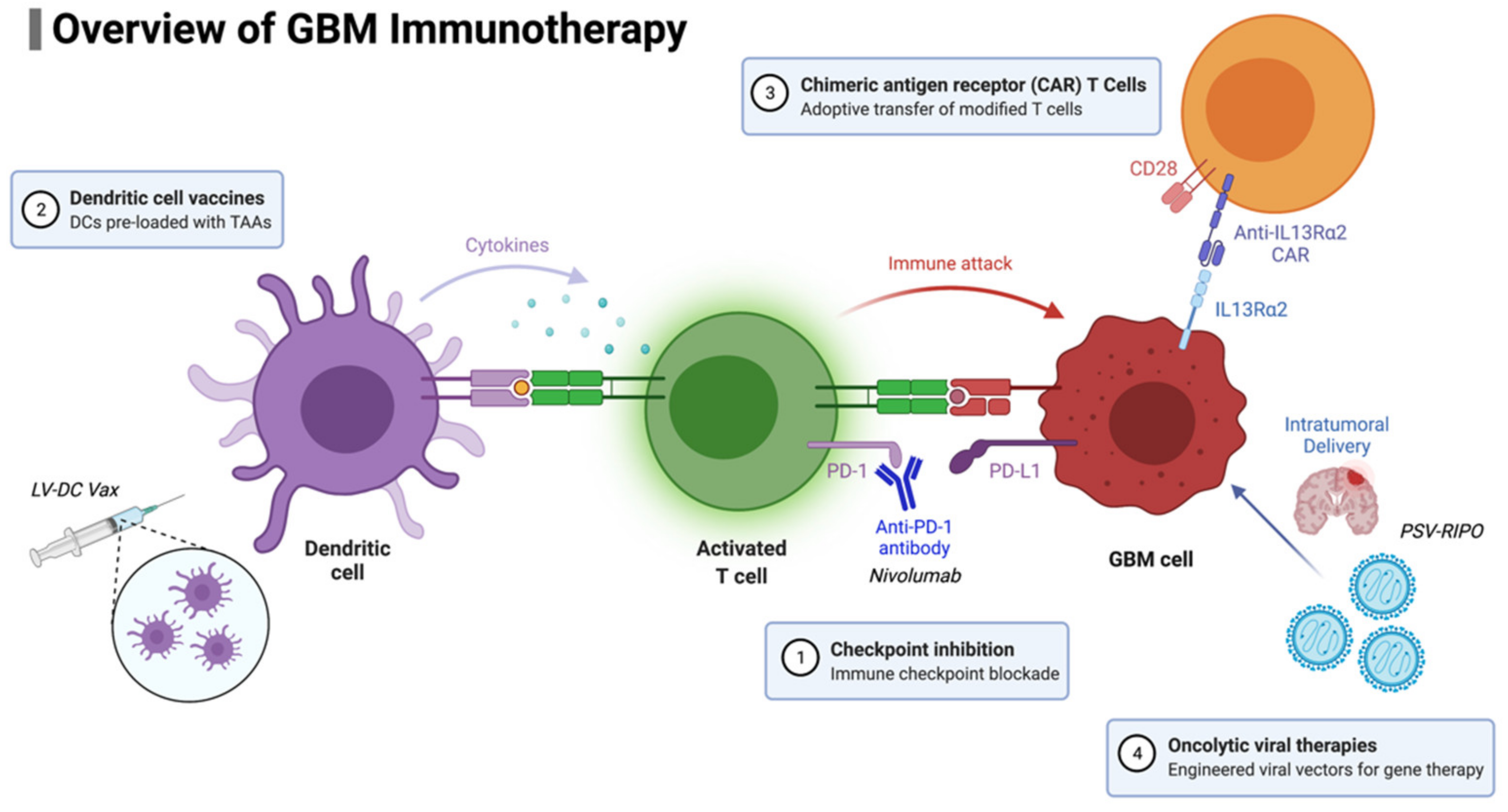 Biomedicines 10 00427 g002 Biomedicines 10 00427 g002