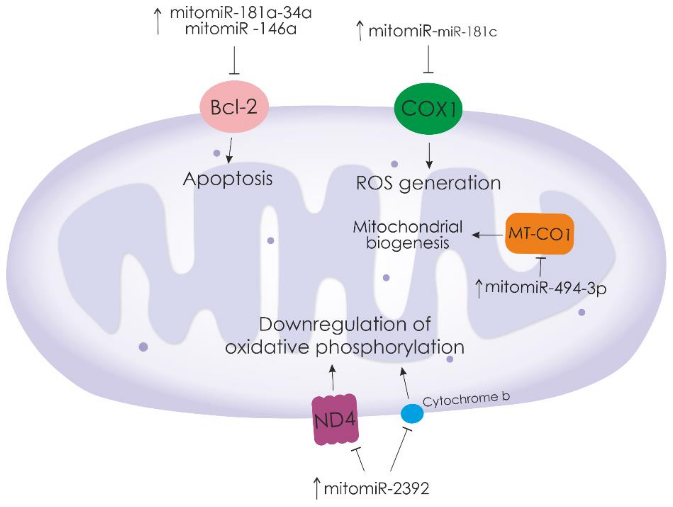 Biomedicines 10 00428 g001 Biomedicines 10 00428 g001