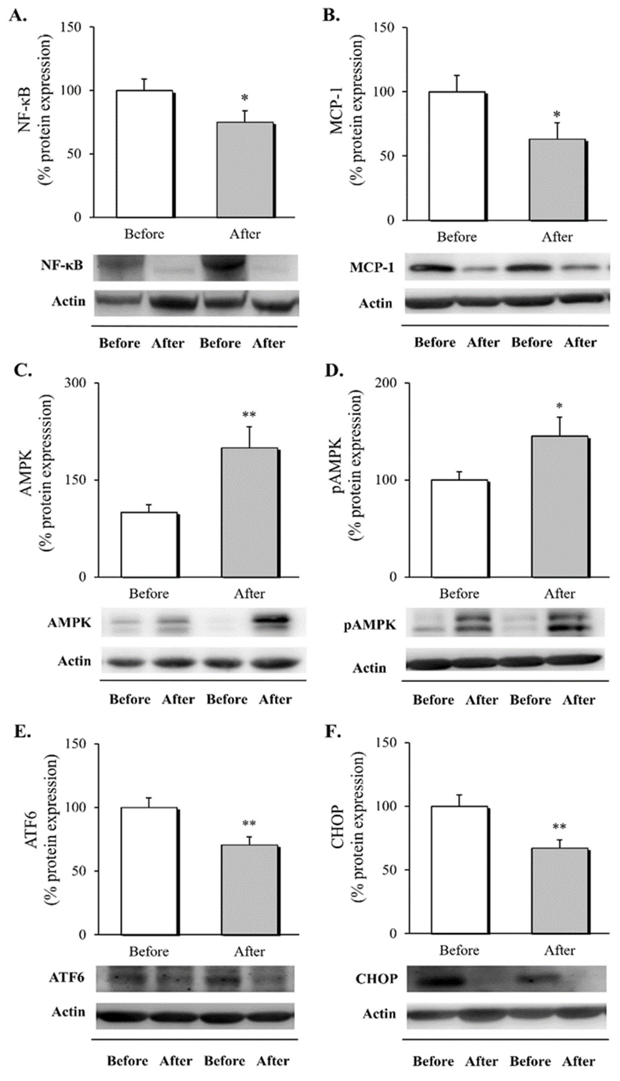 Biomedicines 10 00430 g001
