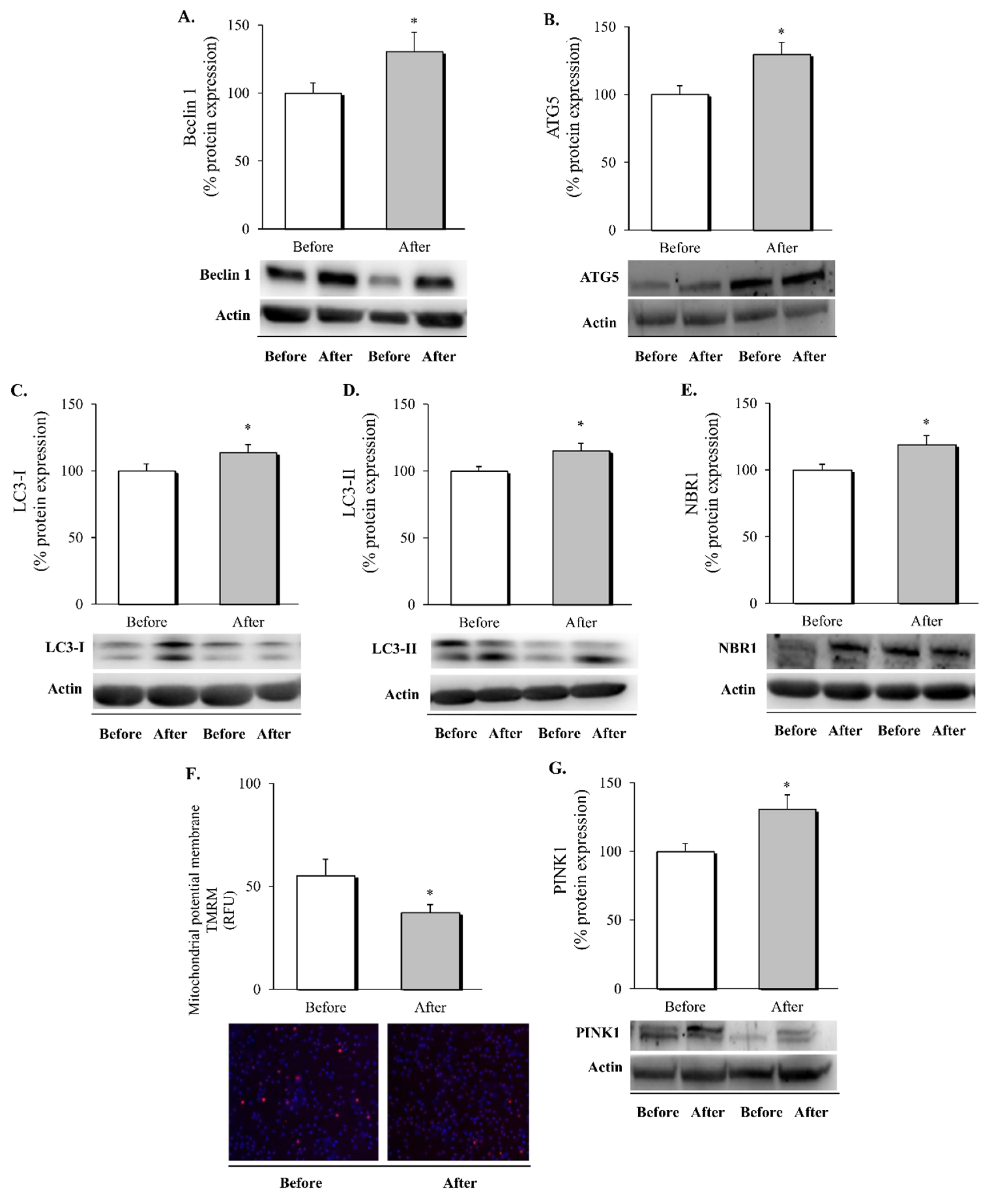 Biomedicines 10 00430 g002