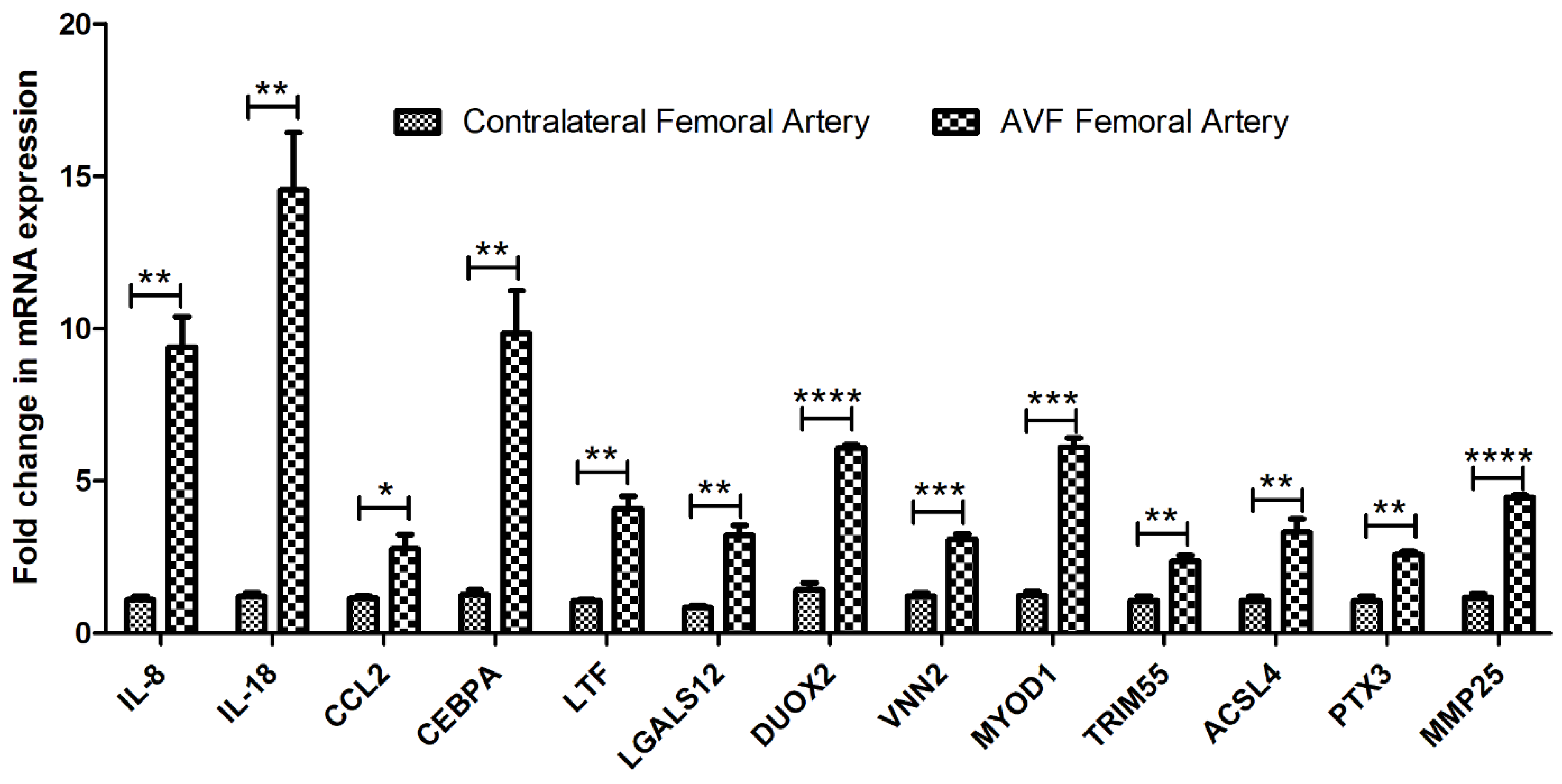 Biomedicines 10 00433 g002