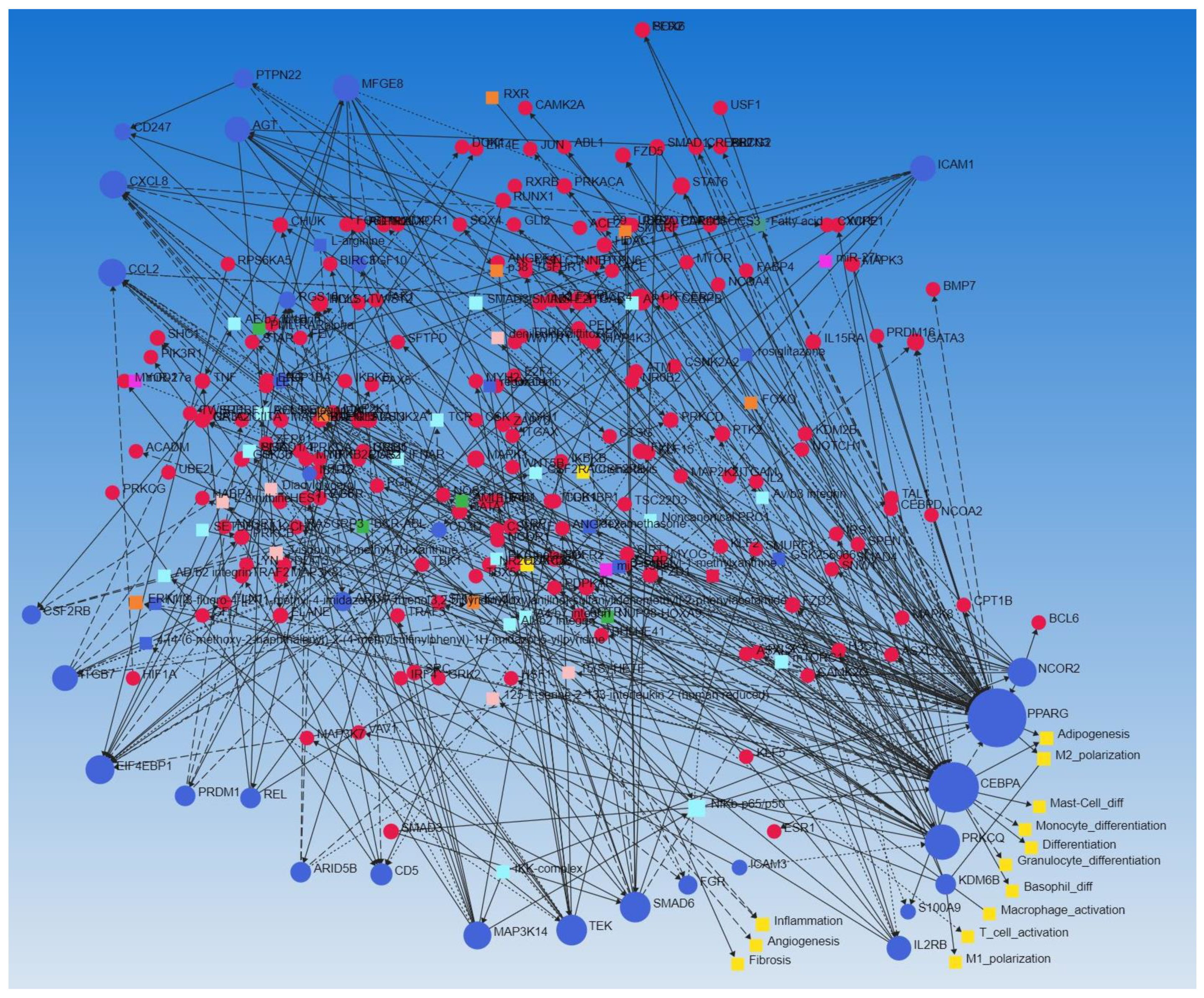 Biomedicines 10 00433 g003