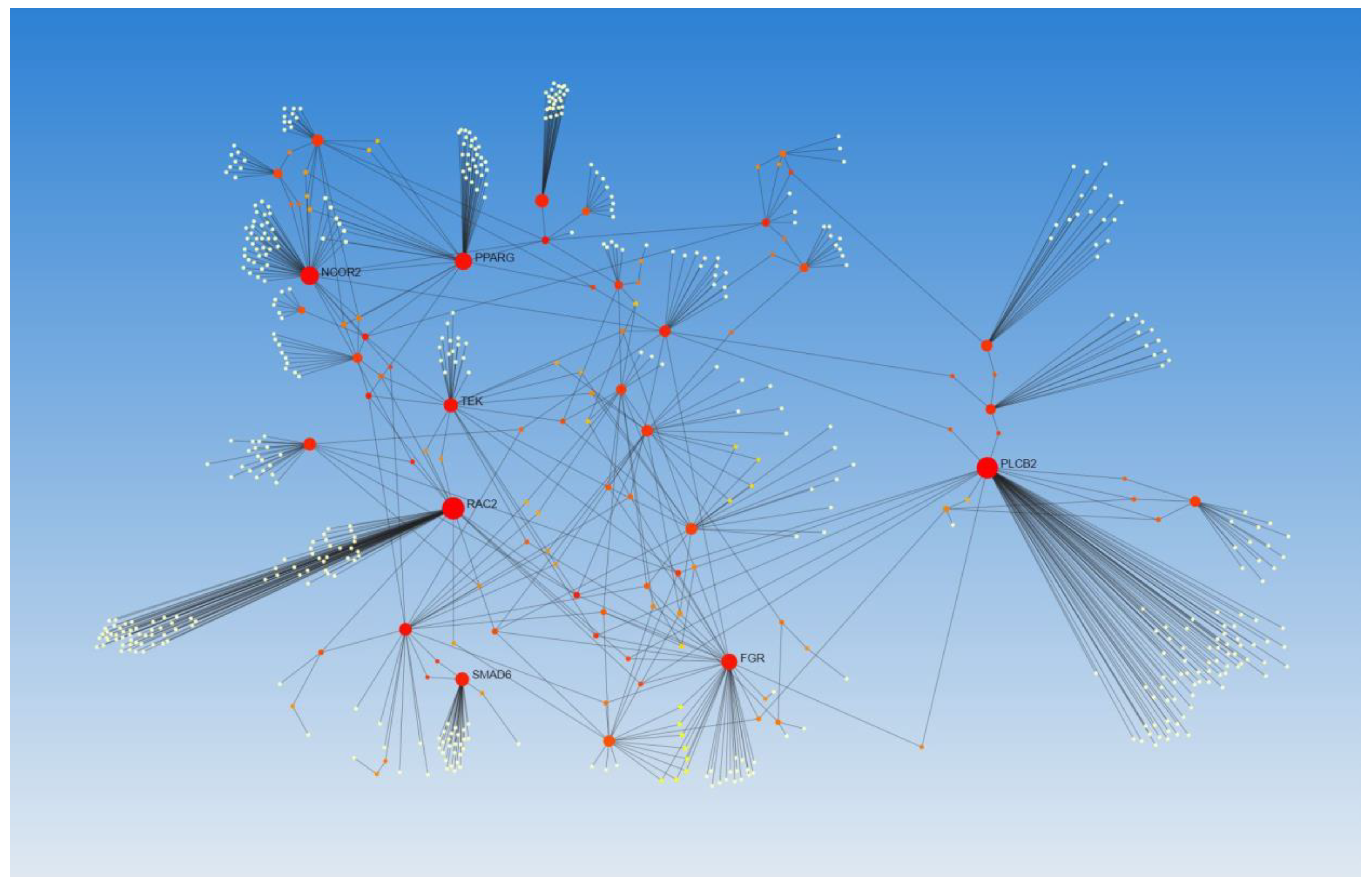 Biomedicines 10 00433 g004