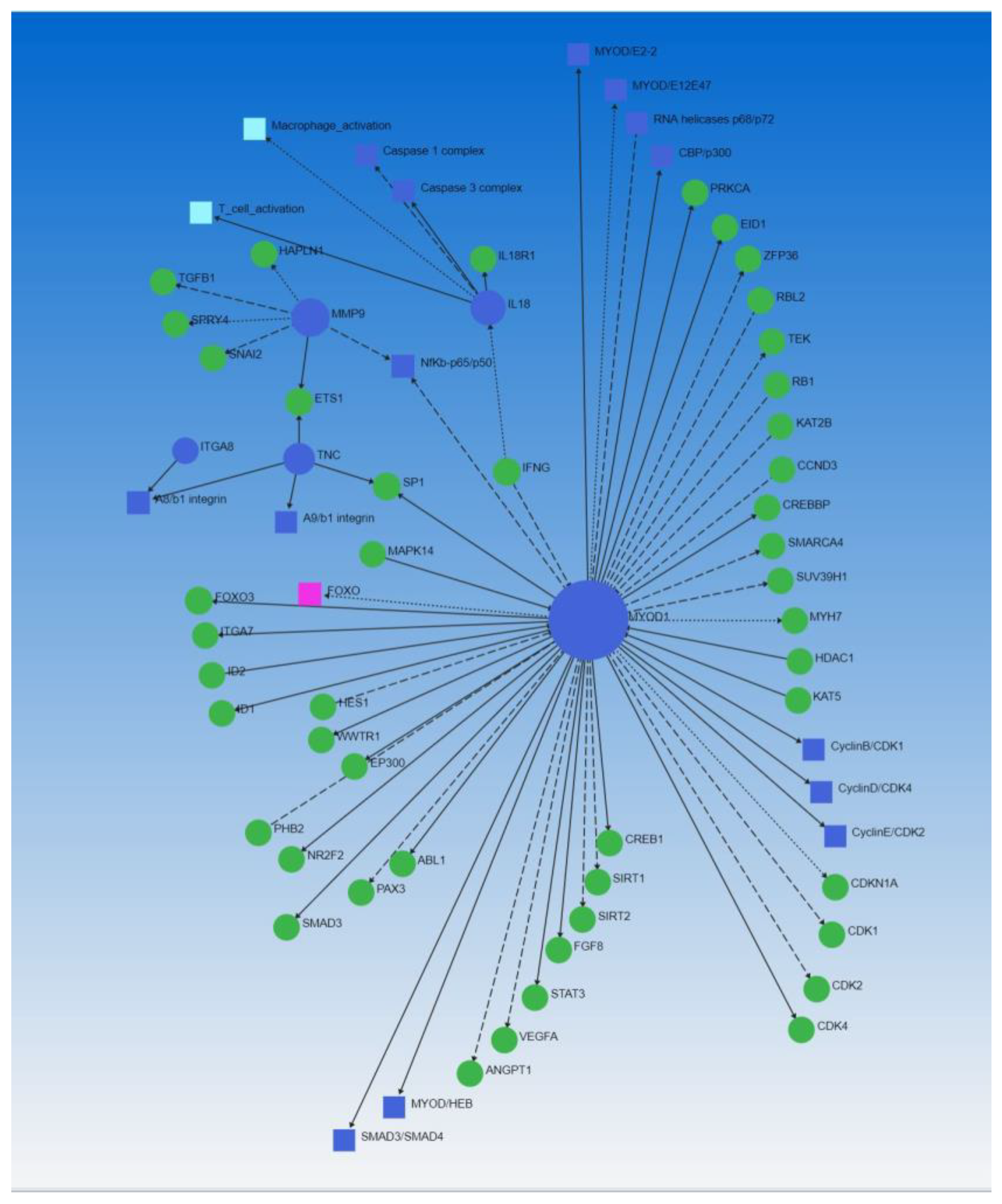Biomedicines 10 00433 g005