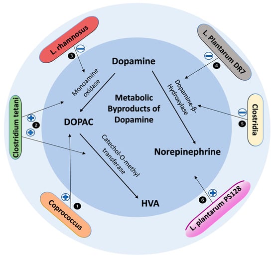 Biomedicines 10 00436 g002 550