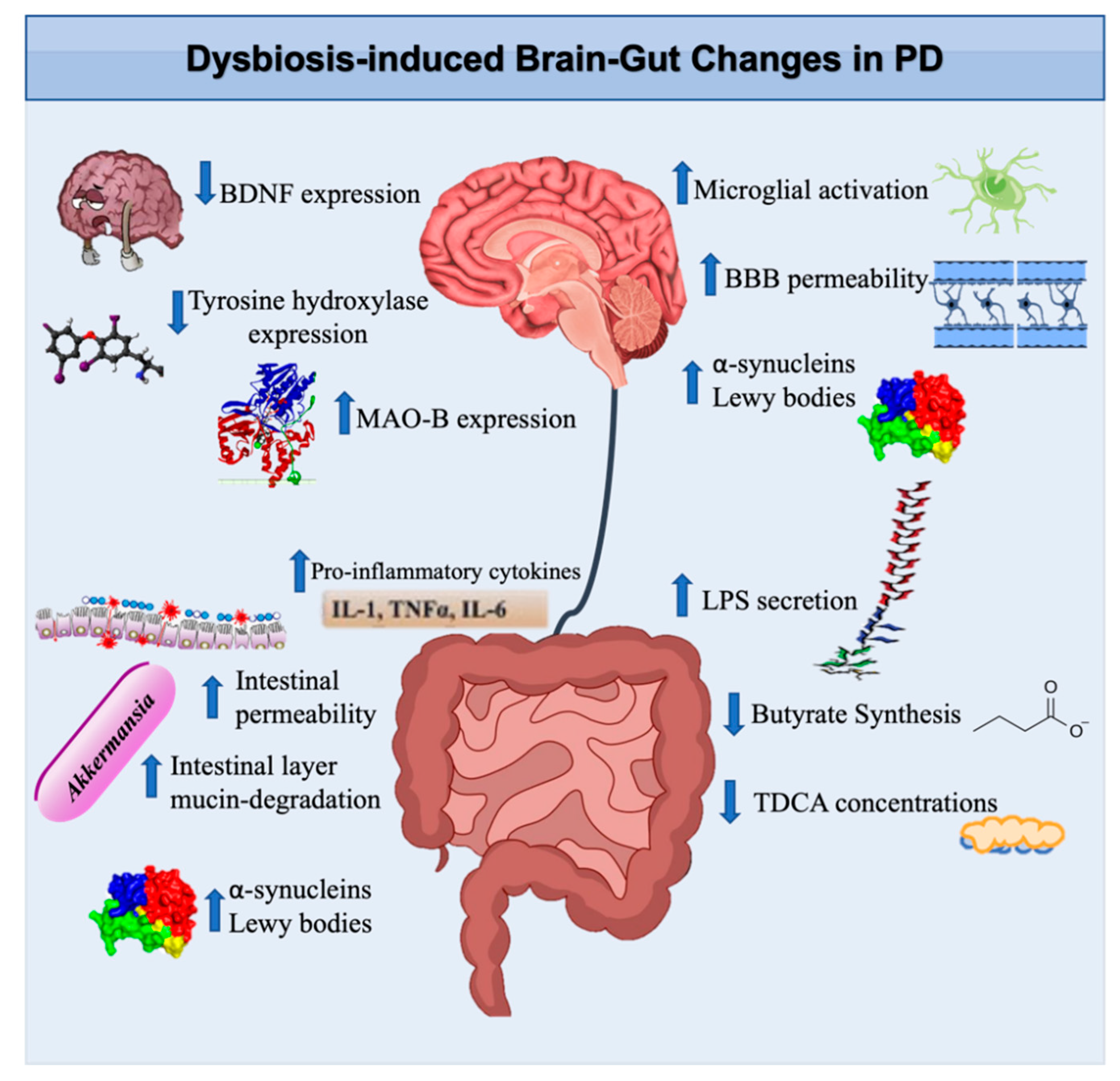 Biomedicines 10 00436 g003