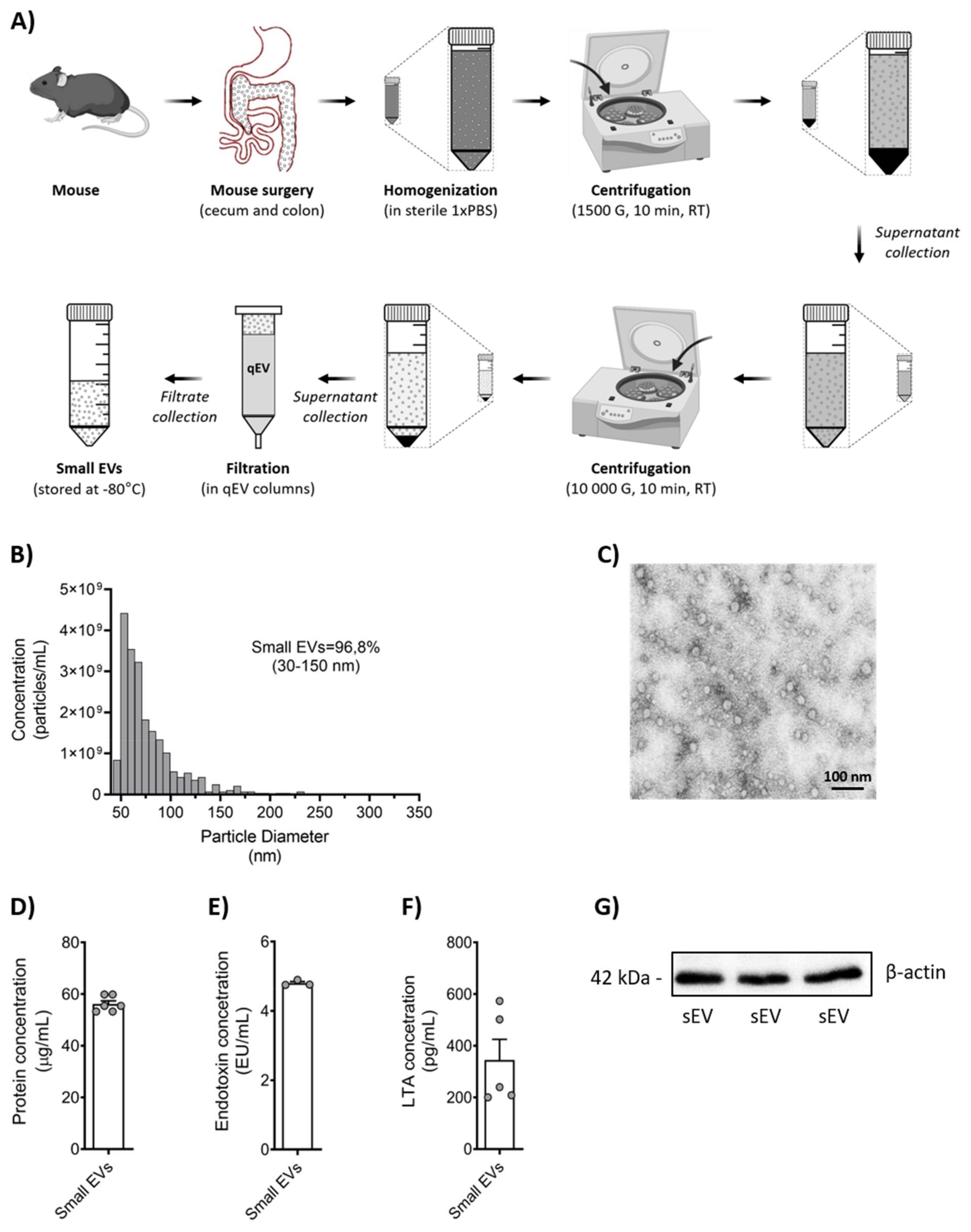 Biomedicines 10 00442 g001 Biomedicines 10 00442 g001