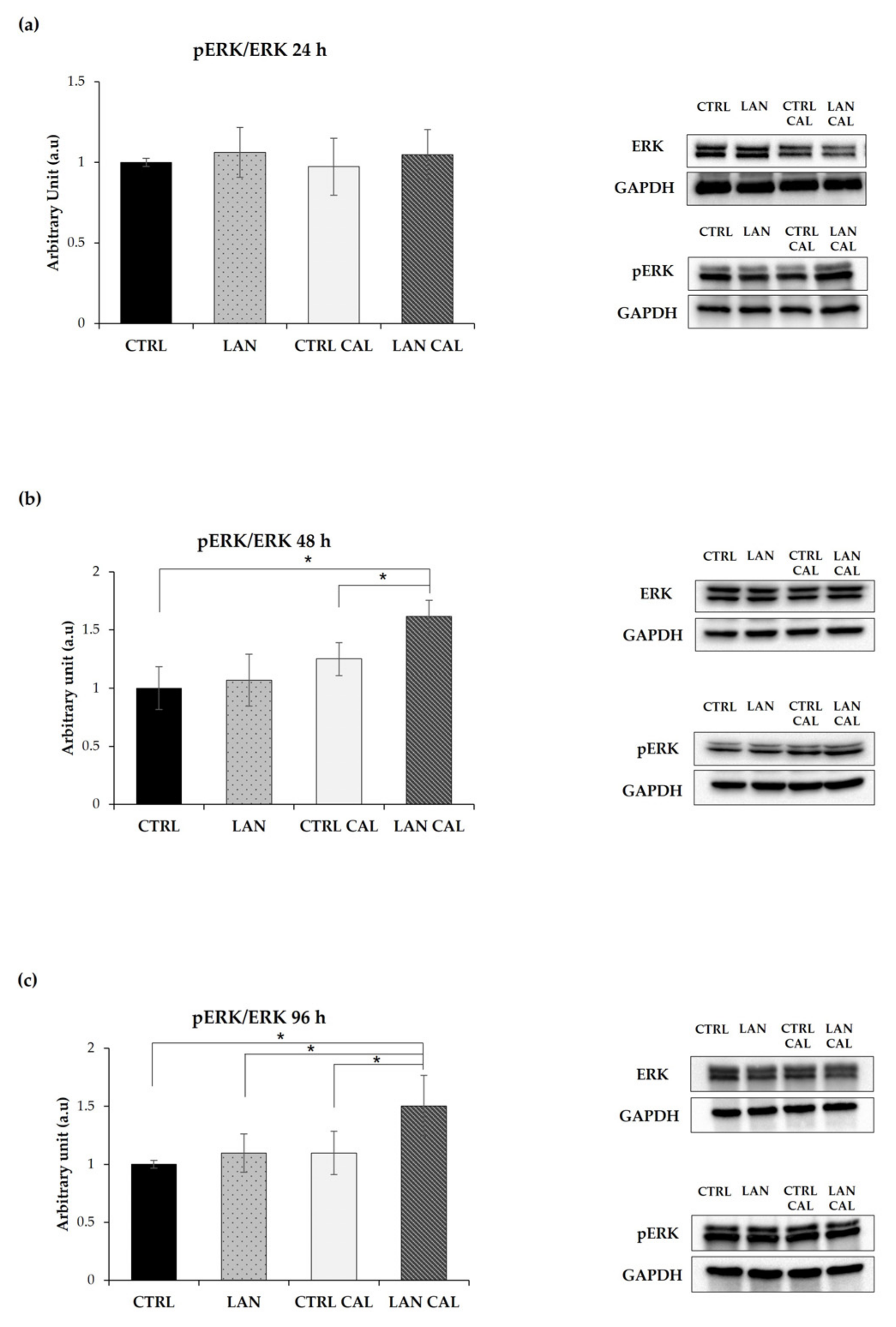 Biomedicines 10 00444 g004 Biomedicines 10 00444 g004