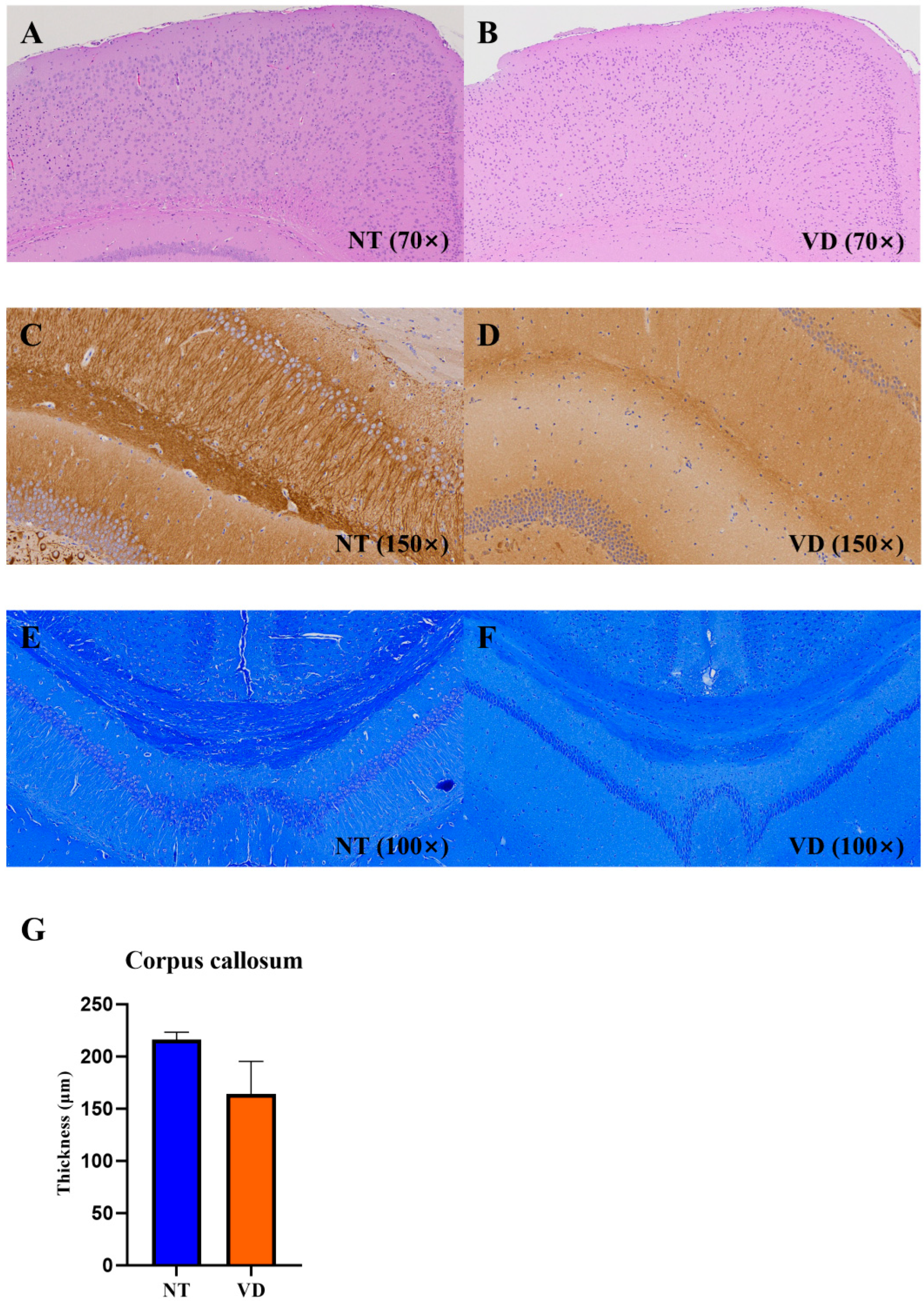 Biomedicines 10 00446 g010 Biomedicines 10 00446 g010