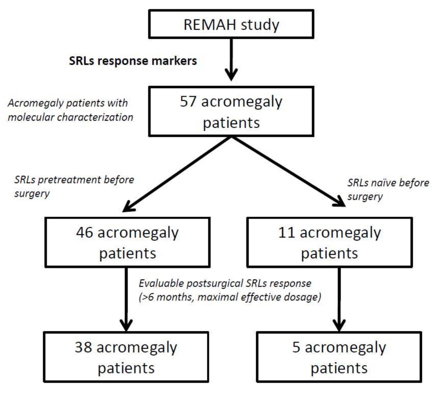 Biomedicines 10 00460 g001 Biomedicines 10 00460 g001
