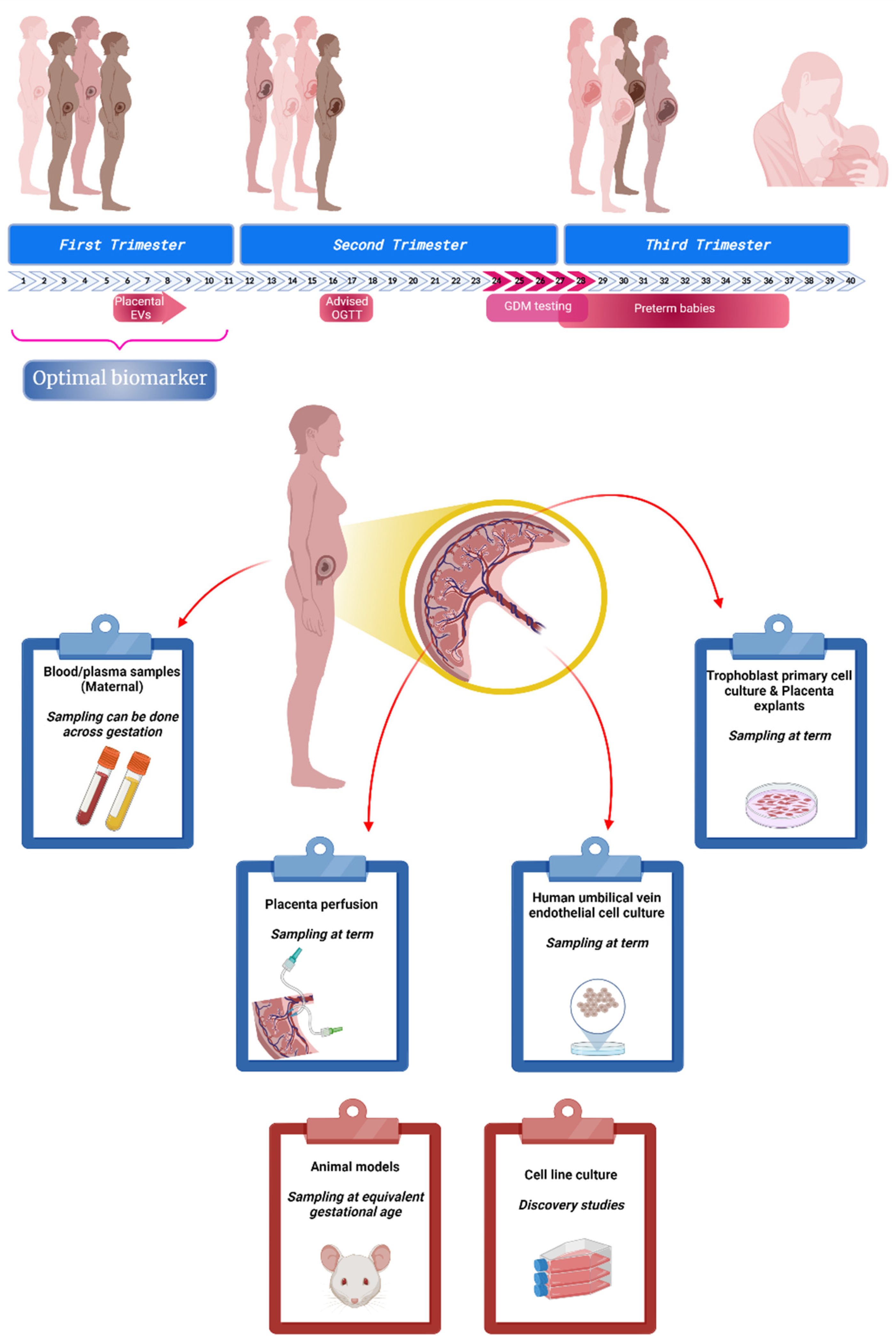 Biomedicines 10 00462 g001
