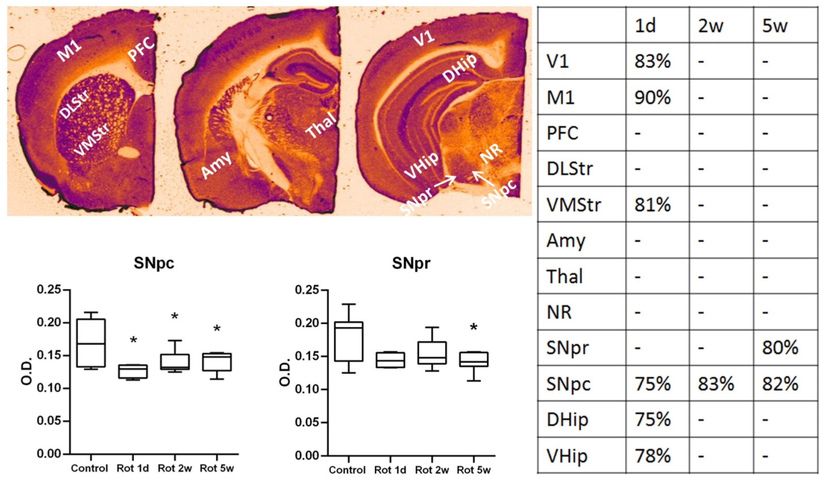 Biomedicines 10 00466 g004