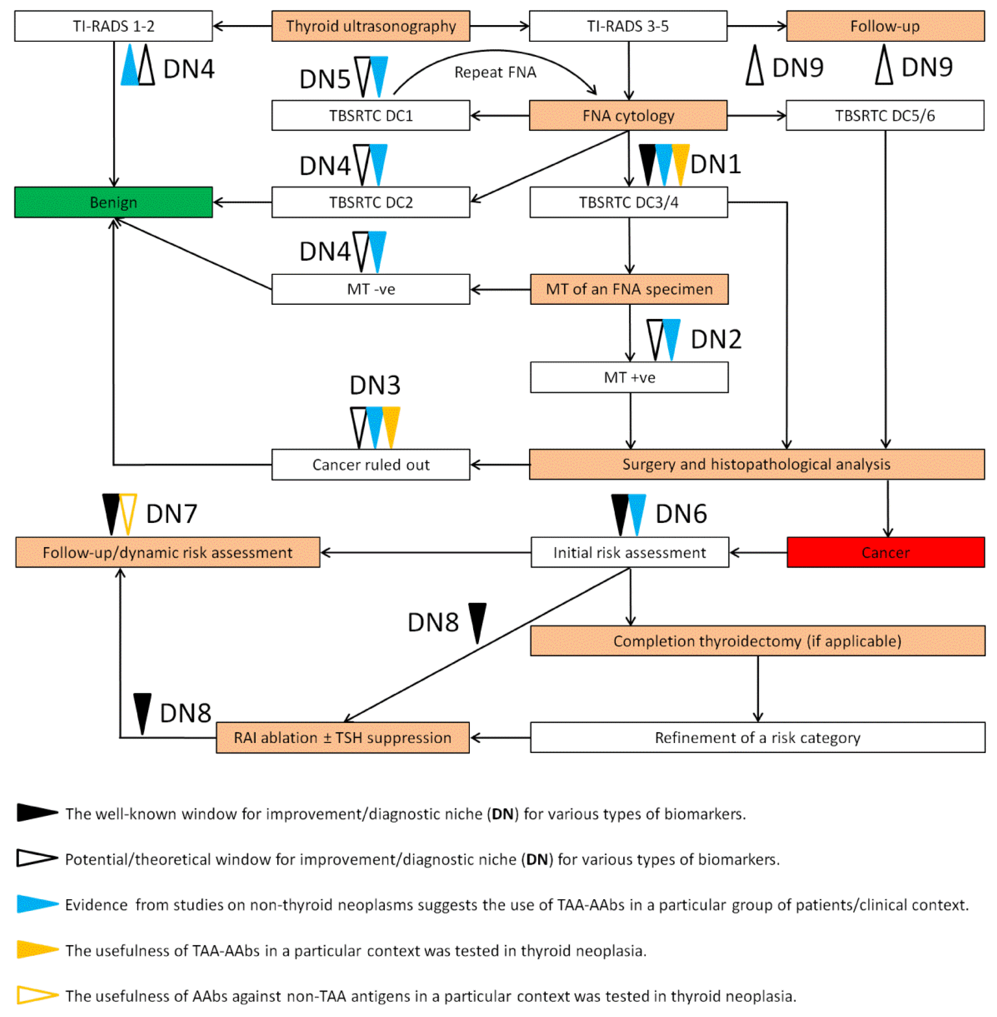 Biomedicines 10 00468 g001