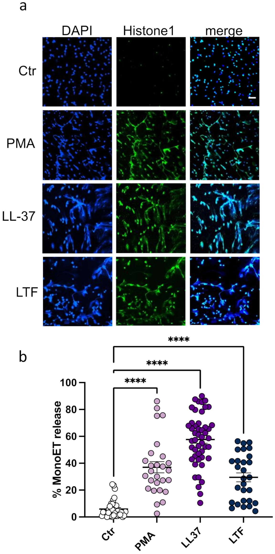 Biomedicines 10 00469 g002