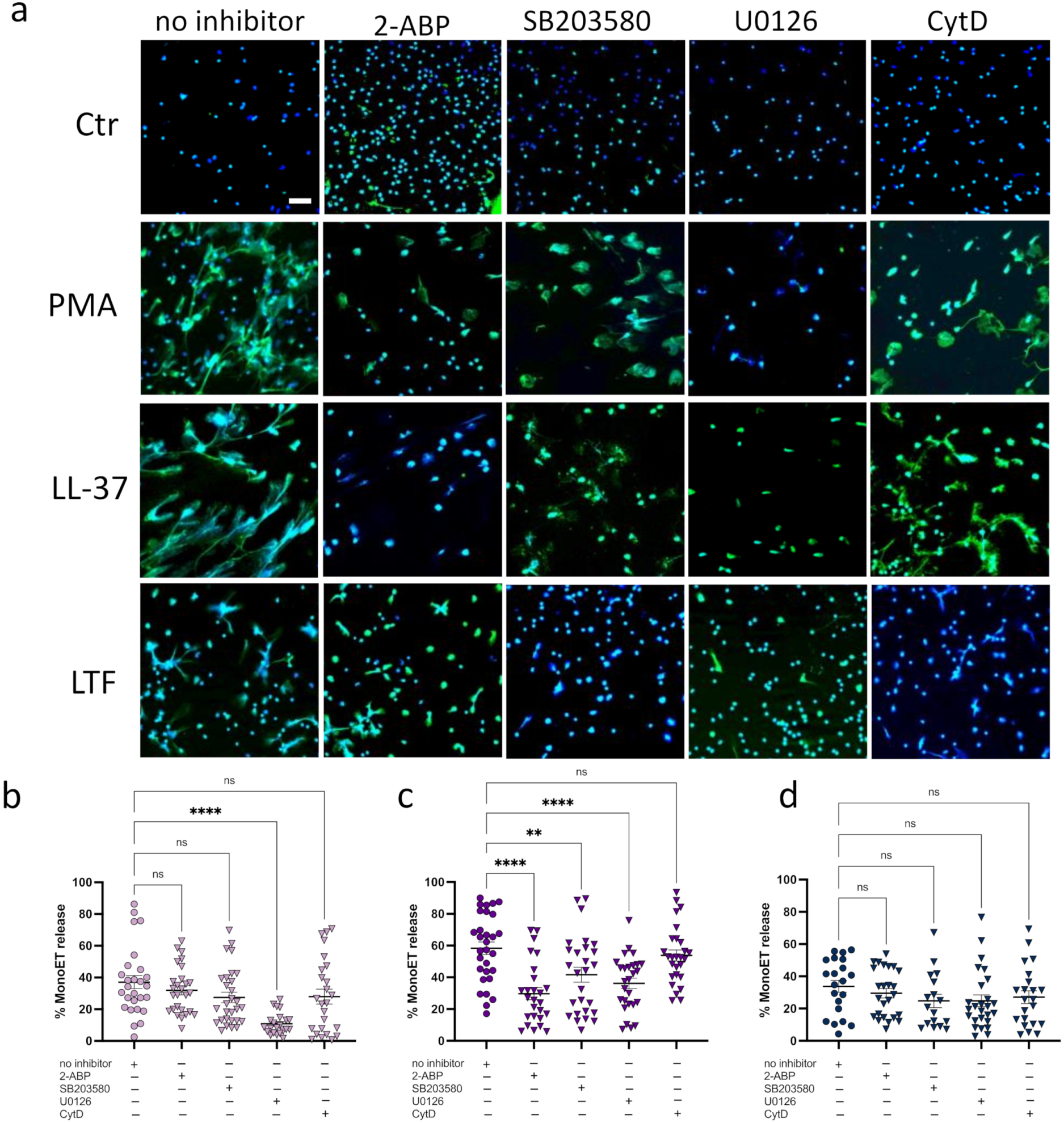 Biomedicines 10 00469 g003