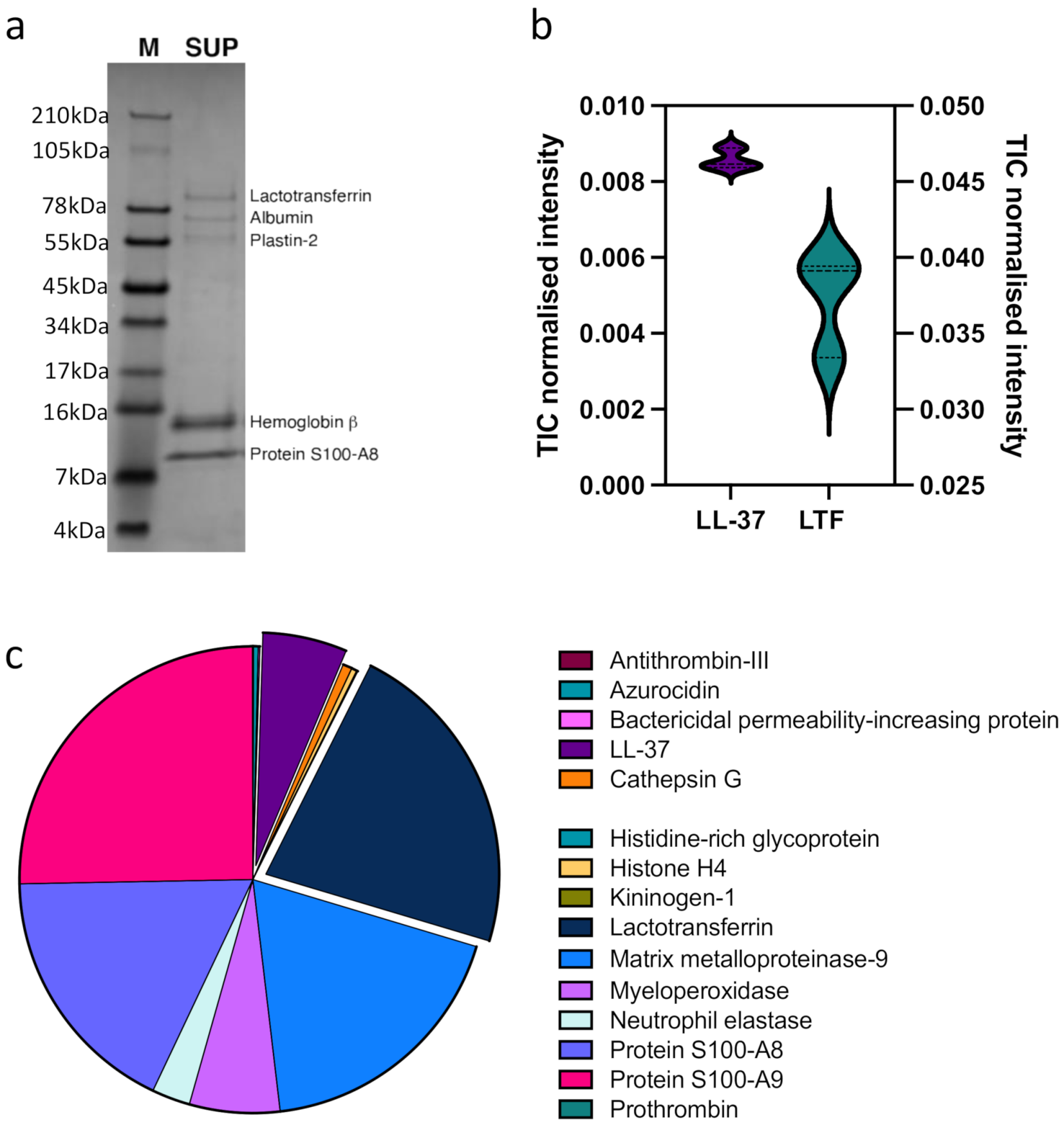 Biomedicines 10 00469 g005