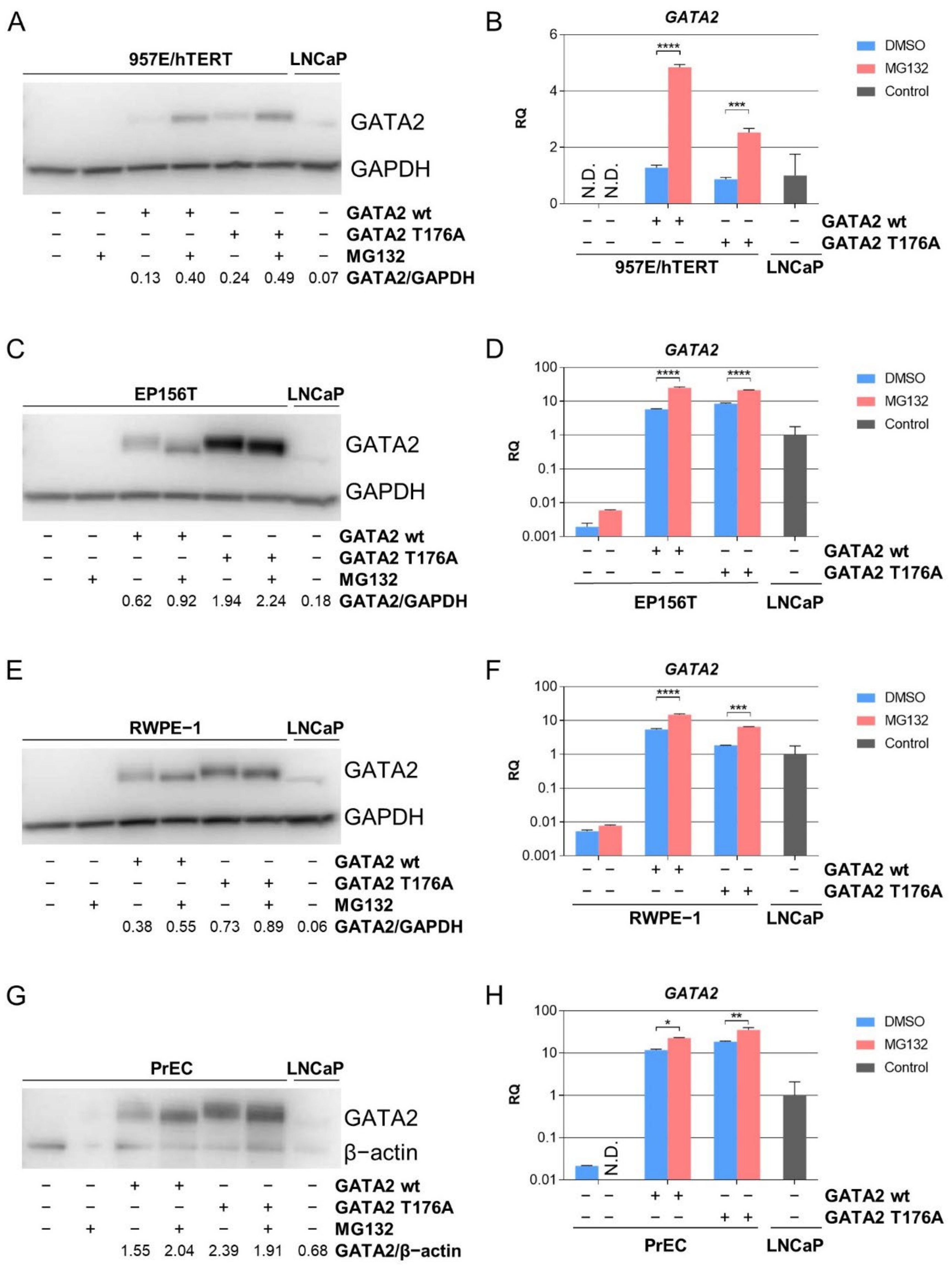 Biomedicines 10 00473 g002