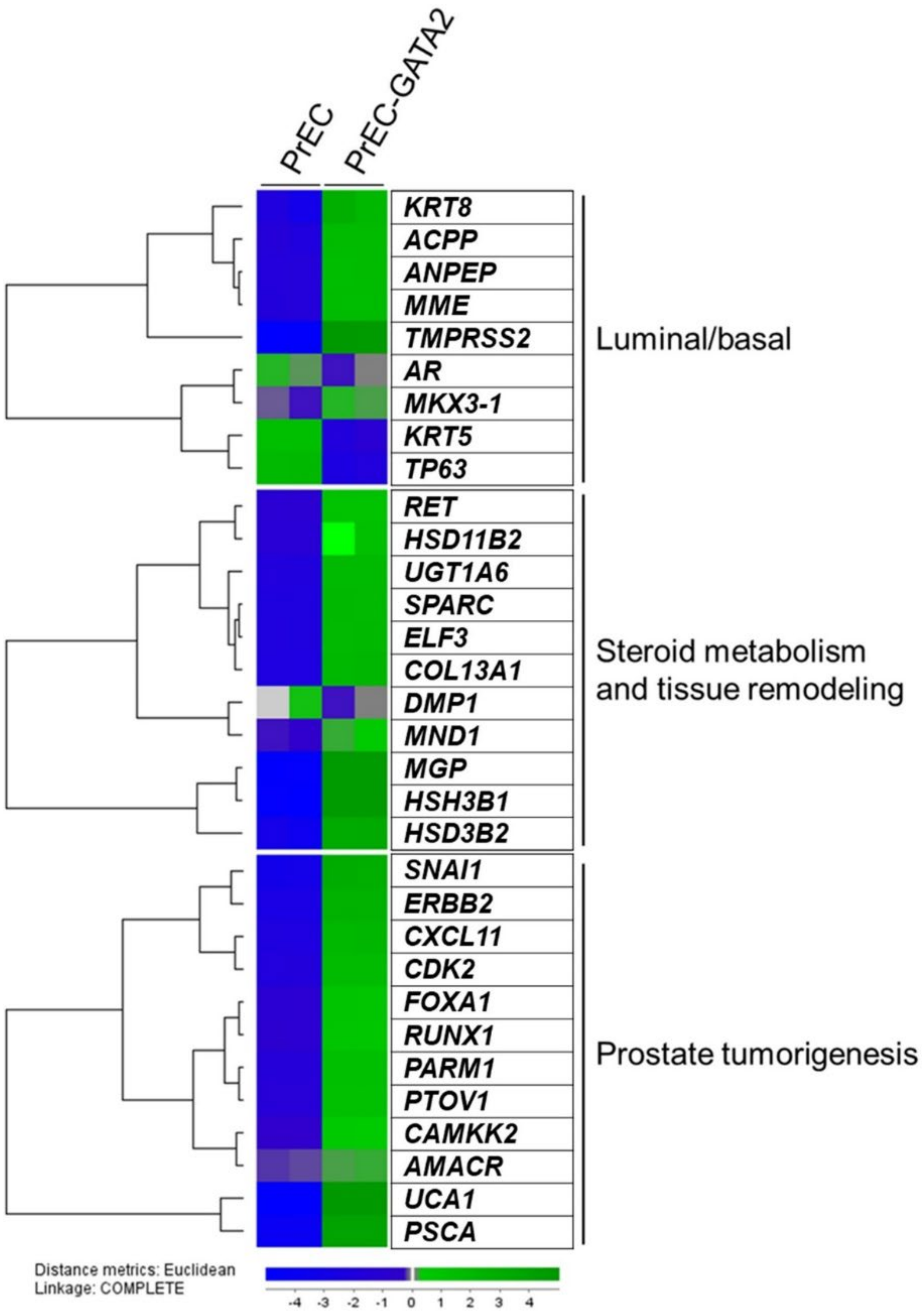 Biomedicines 10 00473 g004