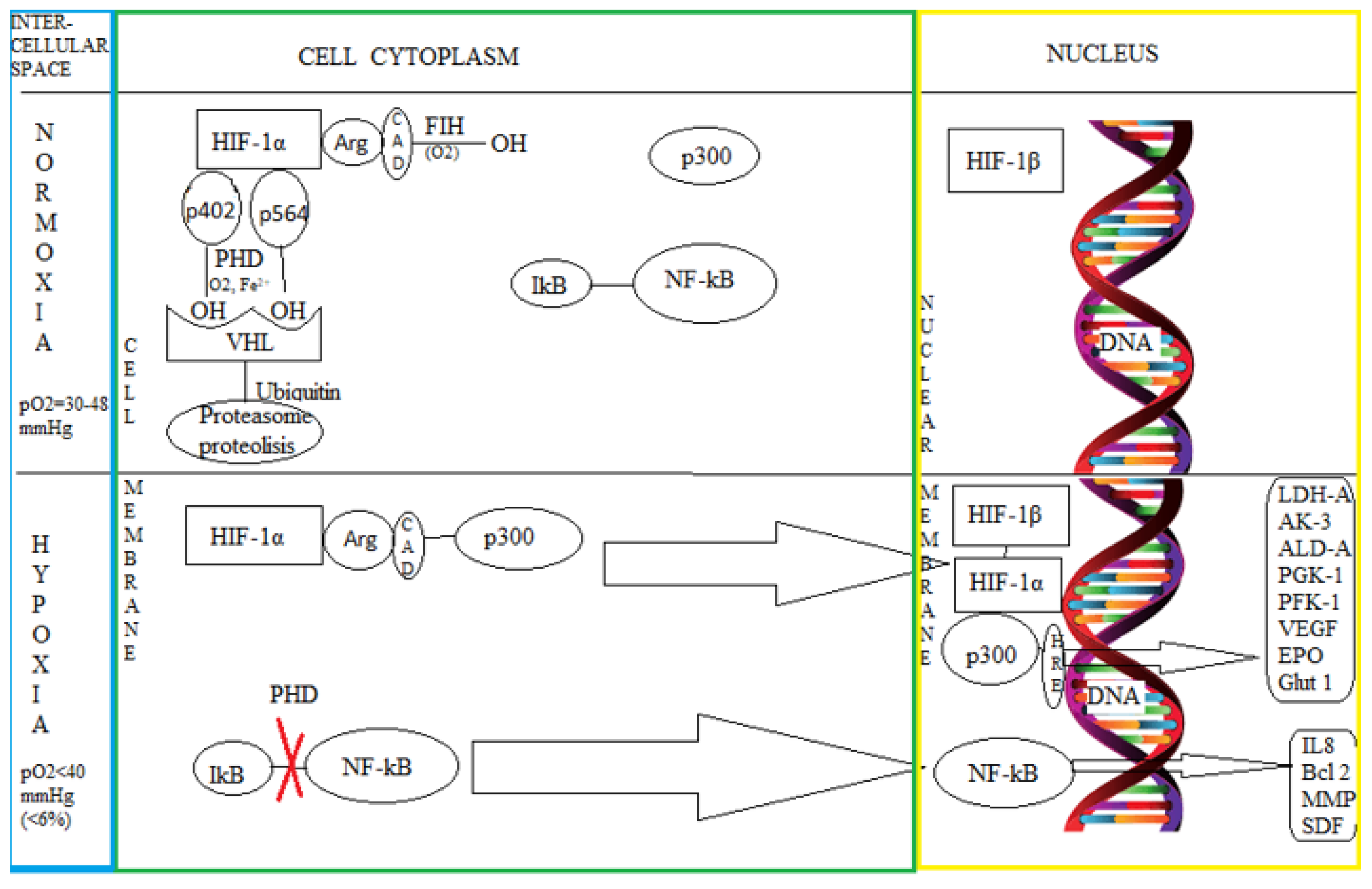 Biomedicines 10 00481 g002