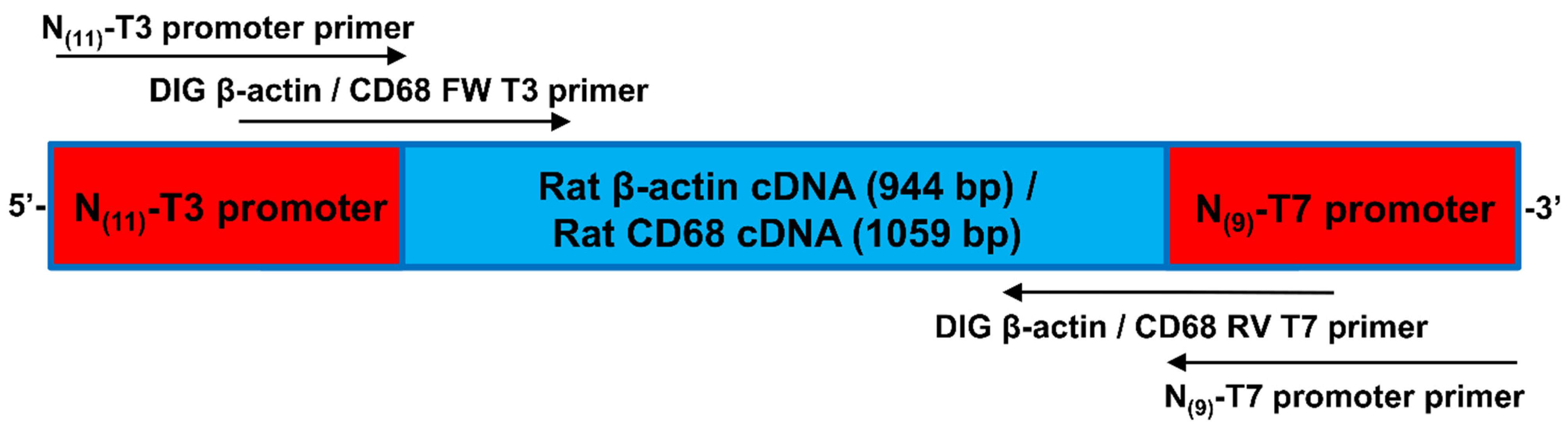 Biomedicines 10 00484 g002