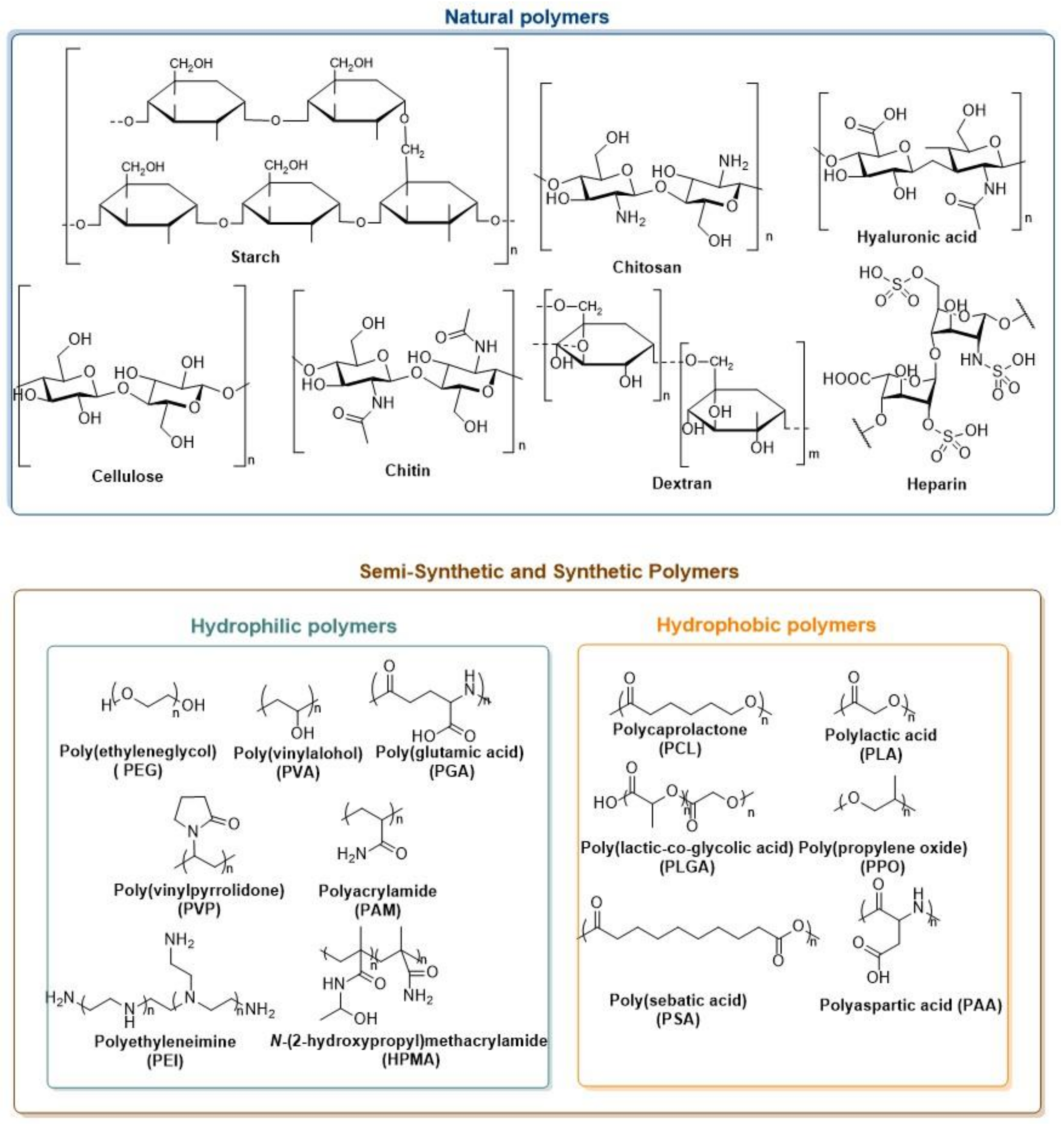 Biomedicines 10 00486 g005