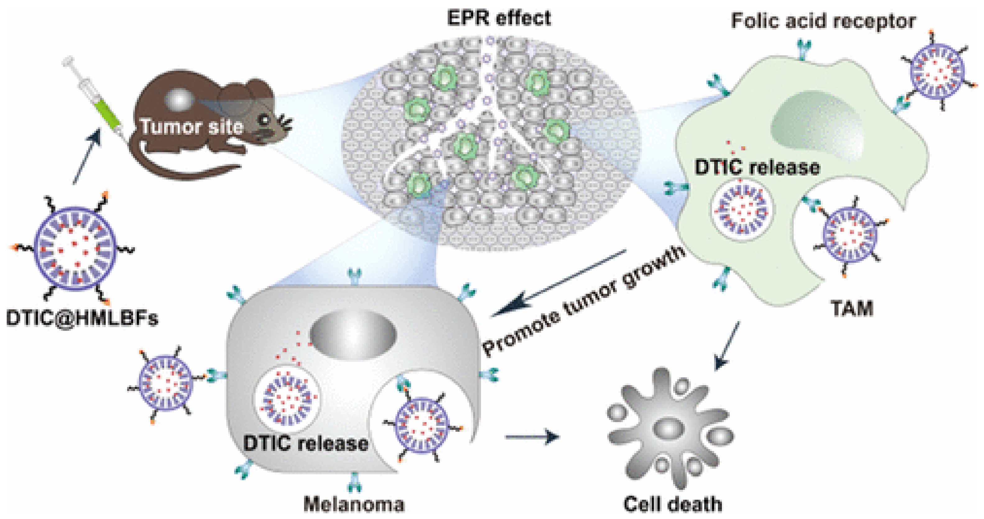Biomedicines 10 00486 g007