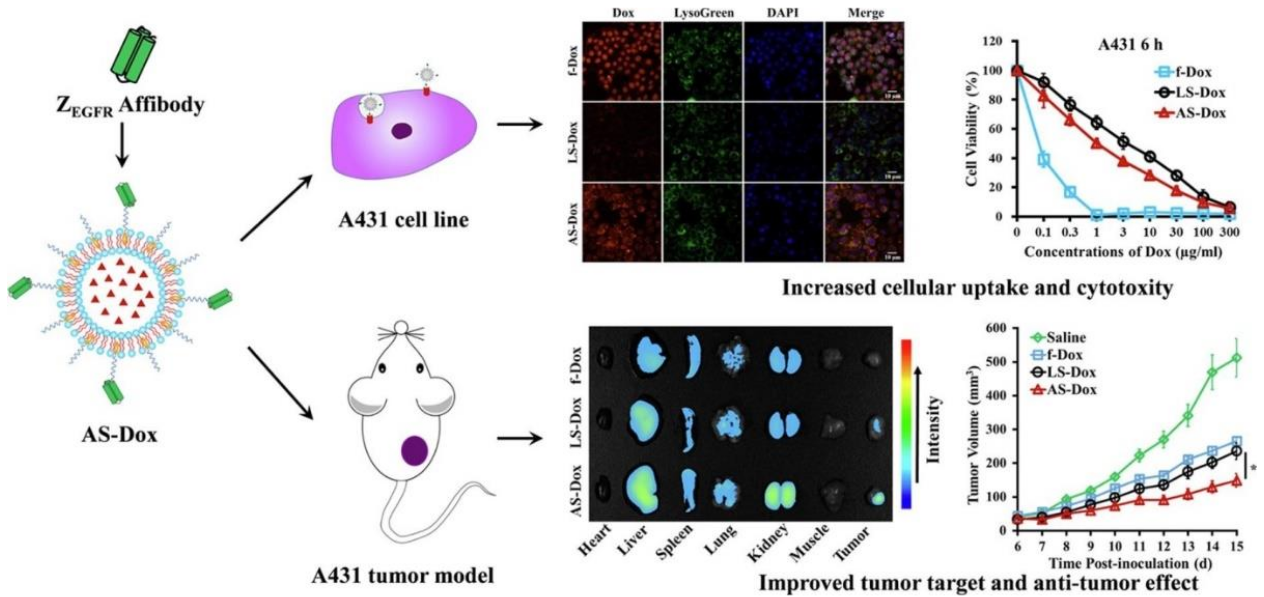 Biomedicines 10 00486 g009