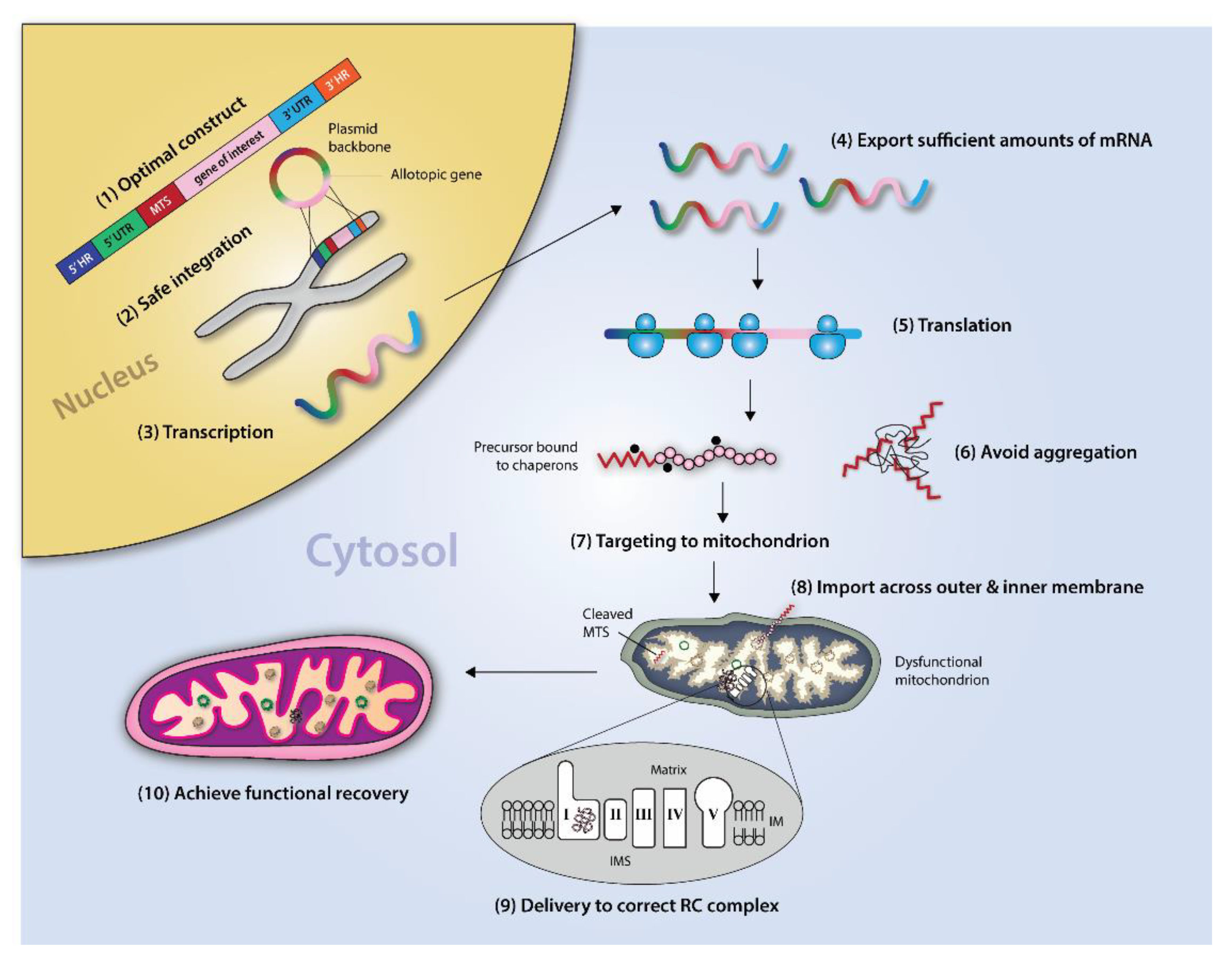 Biomedicines 10 00490 g001 Biomedicines 10 00490 g001