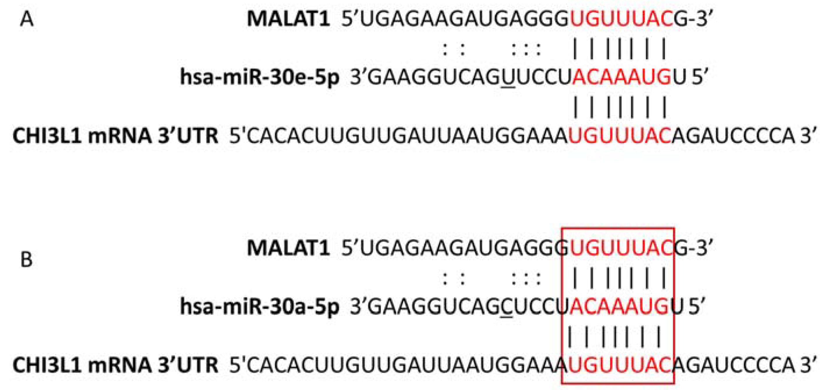Biomedicines 10 00496 g003