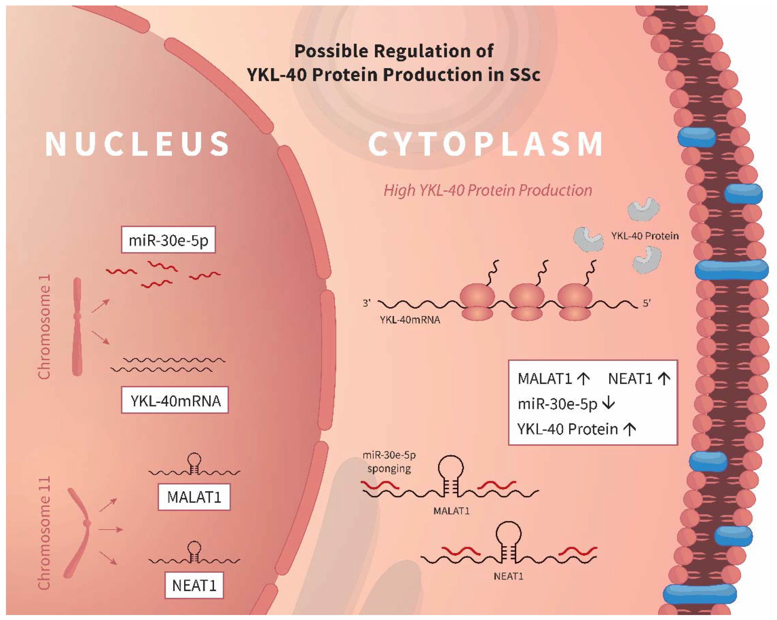 Biomedicines 10 00496 g006