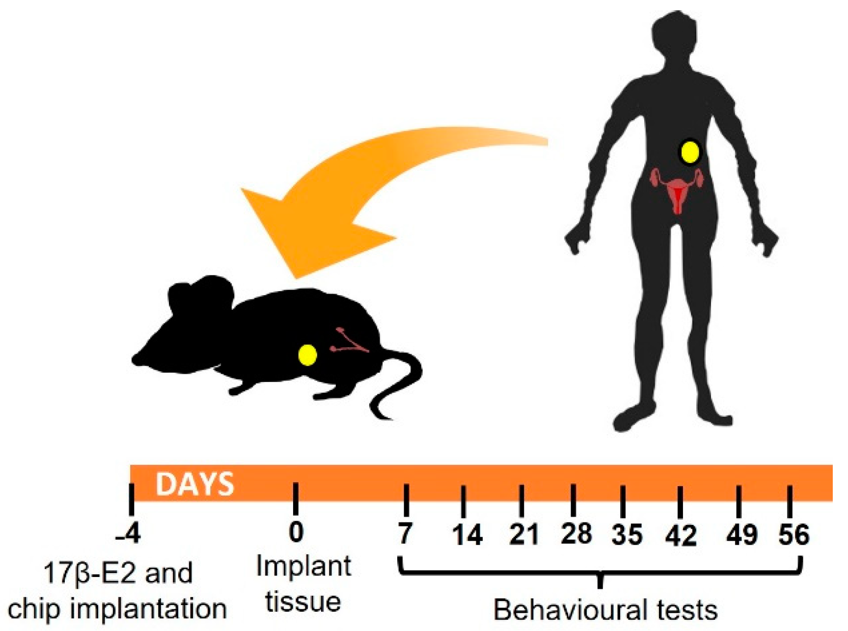 Biomedicines 10 00501 g001