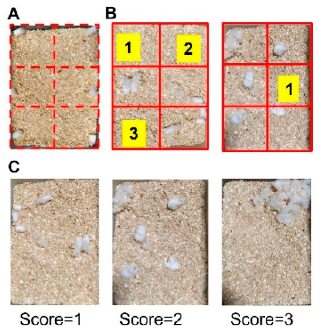 Biomedicines 10 00501 g002