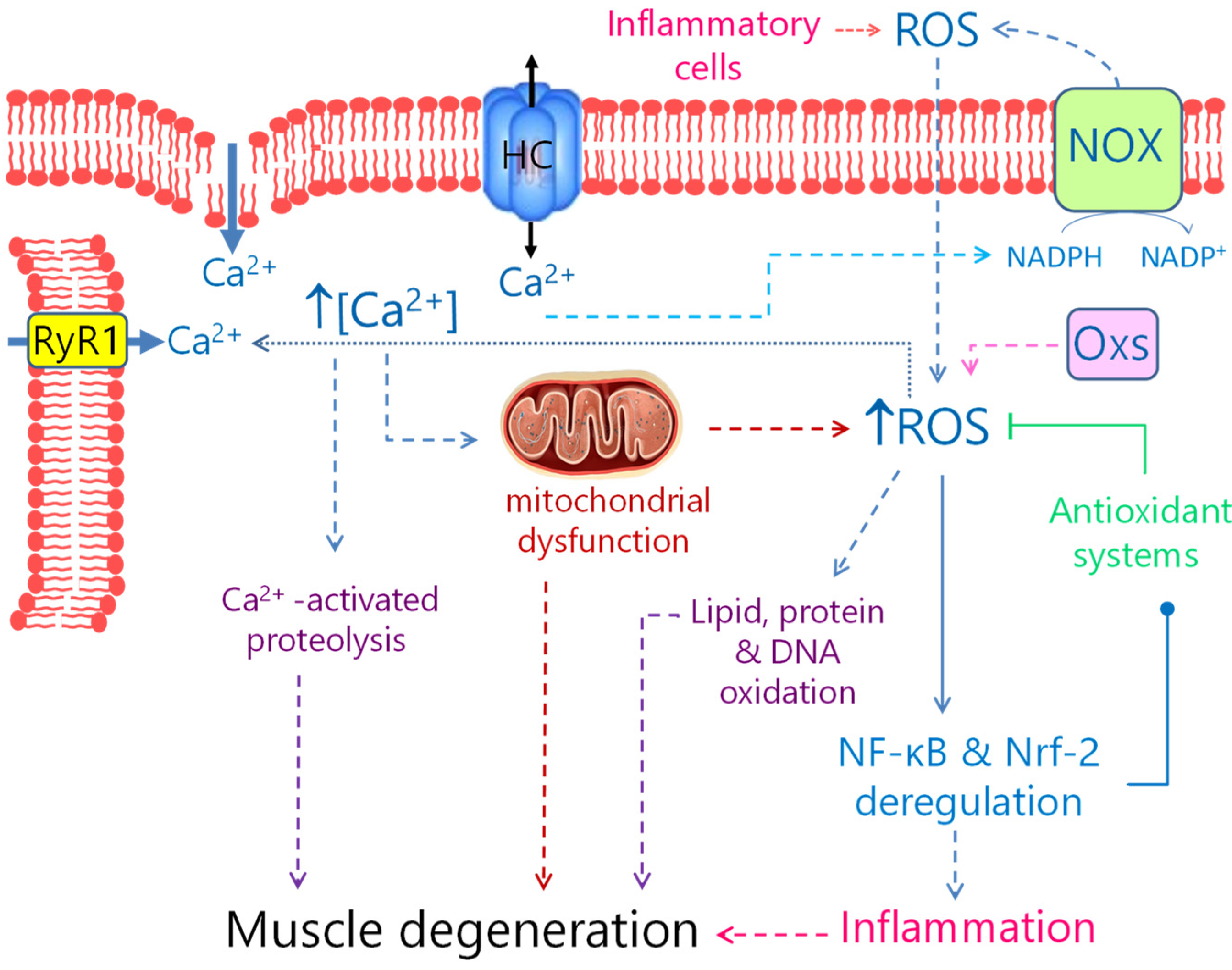 Biomedicines 10 00507 g002