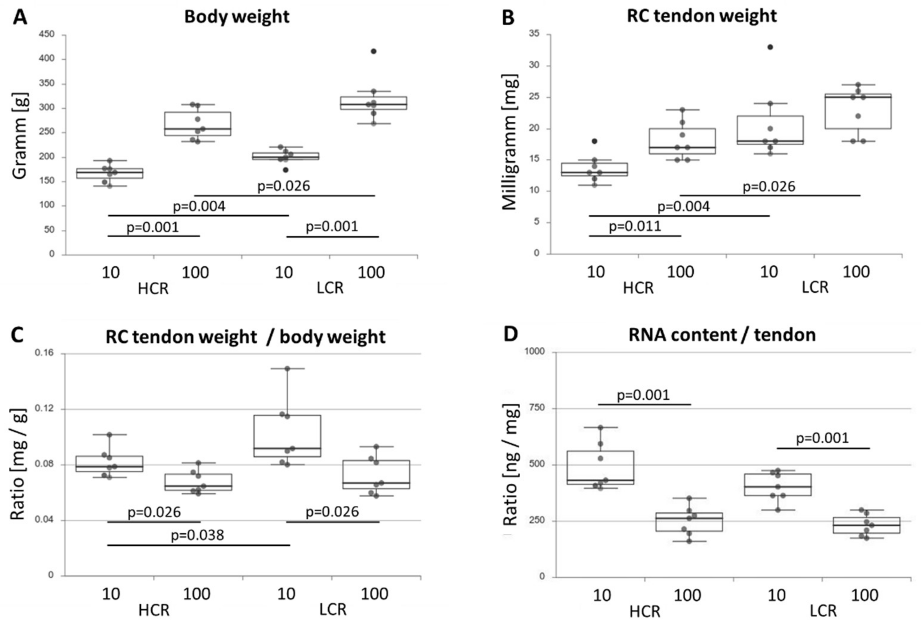 Biomedicines 10 00509 g001