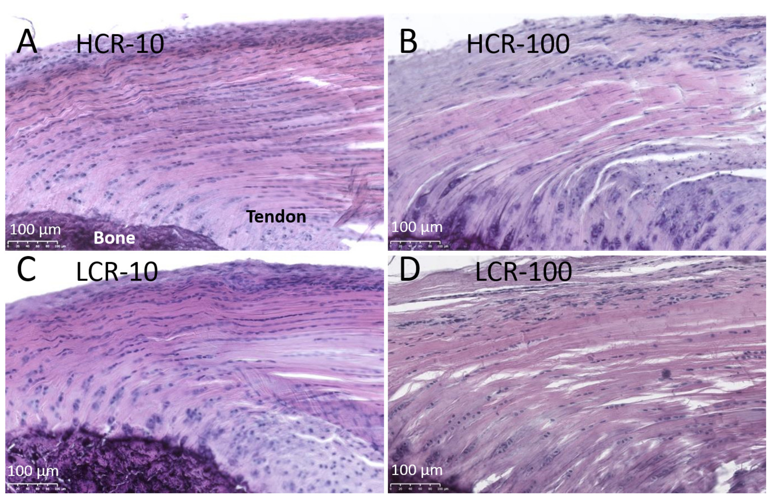 Biomedicines 10 00509 g002
